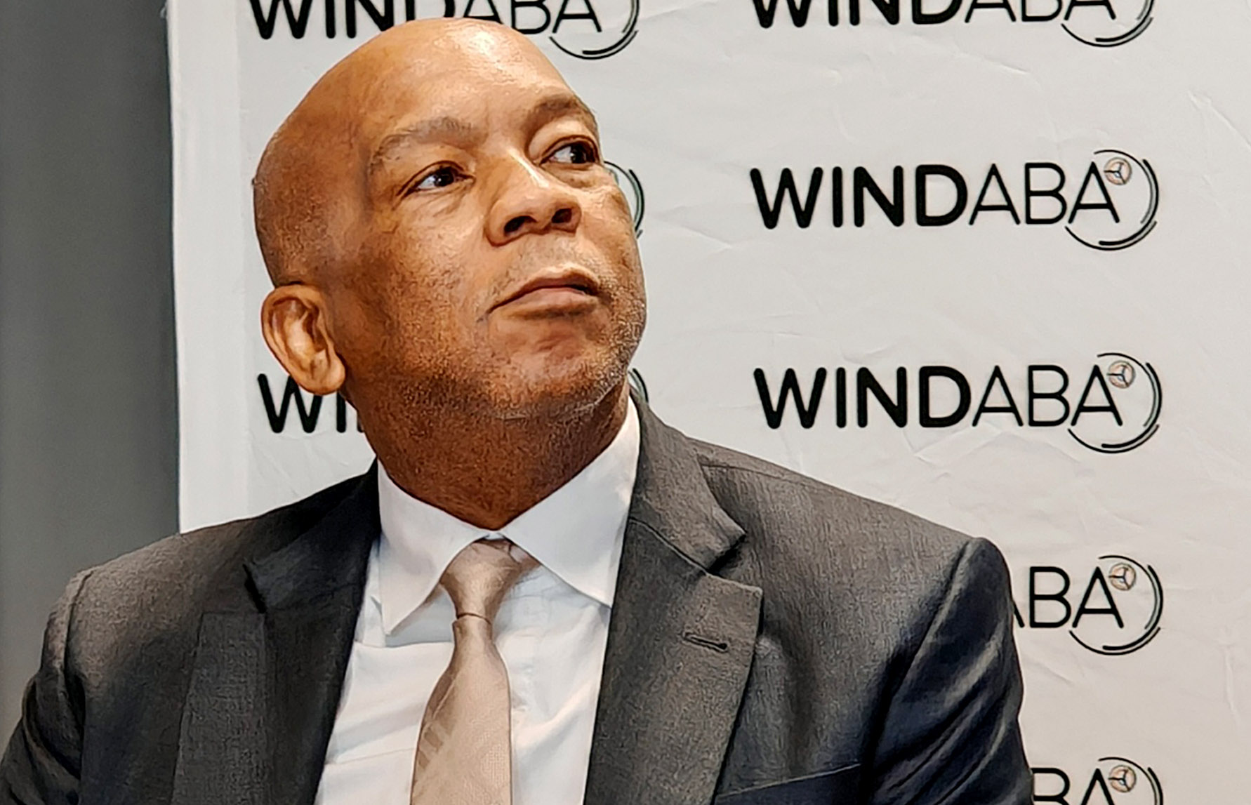 Wind is the big winner in Ramokgopa’s 2025 energy plan