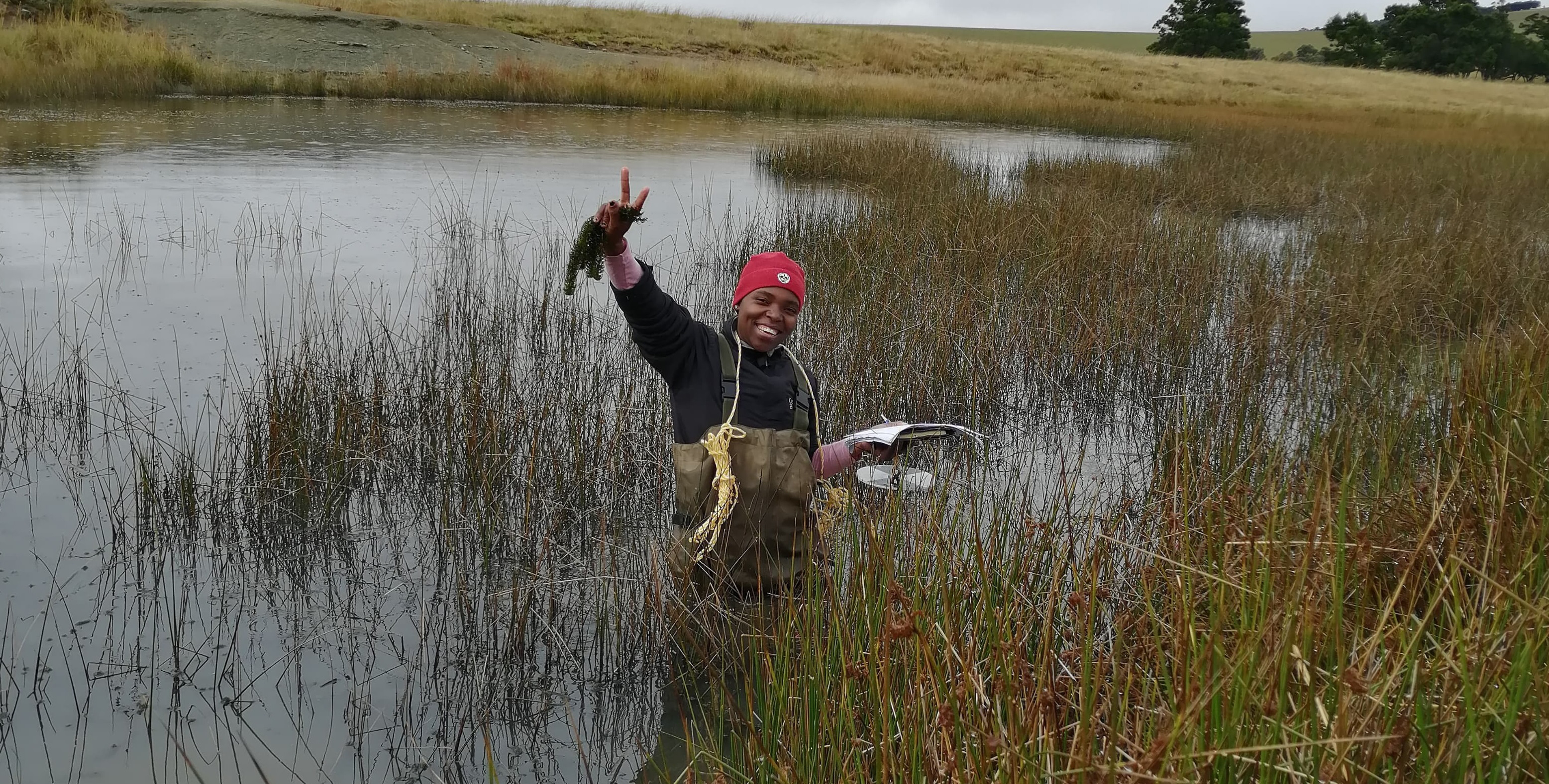 Oppenheimer research grant winner tackles invasive plants with game-changing science