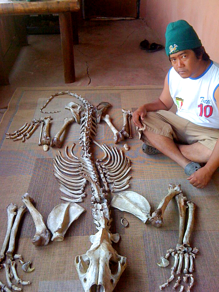 Department of environment reduces lion bone export quota to zero