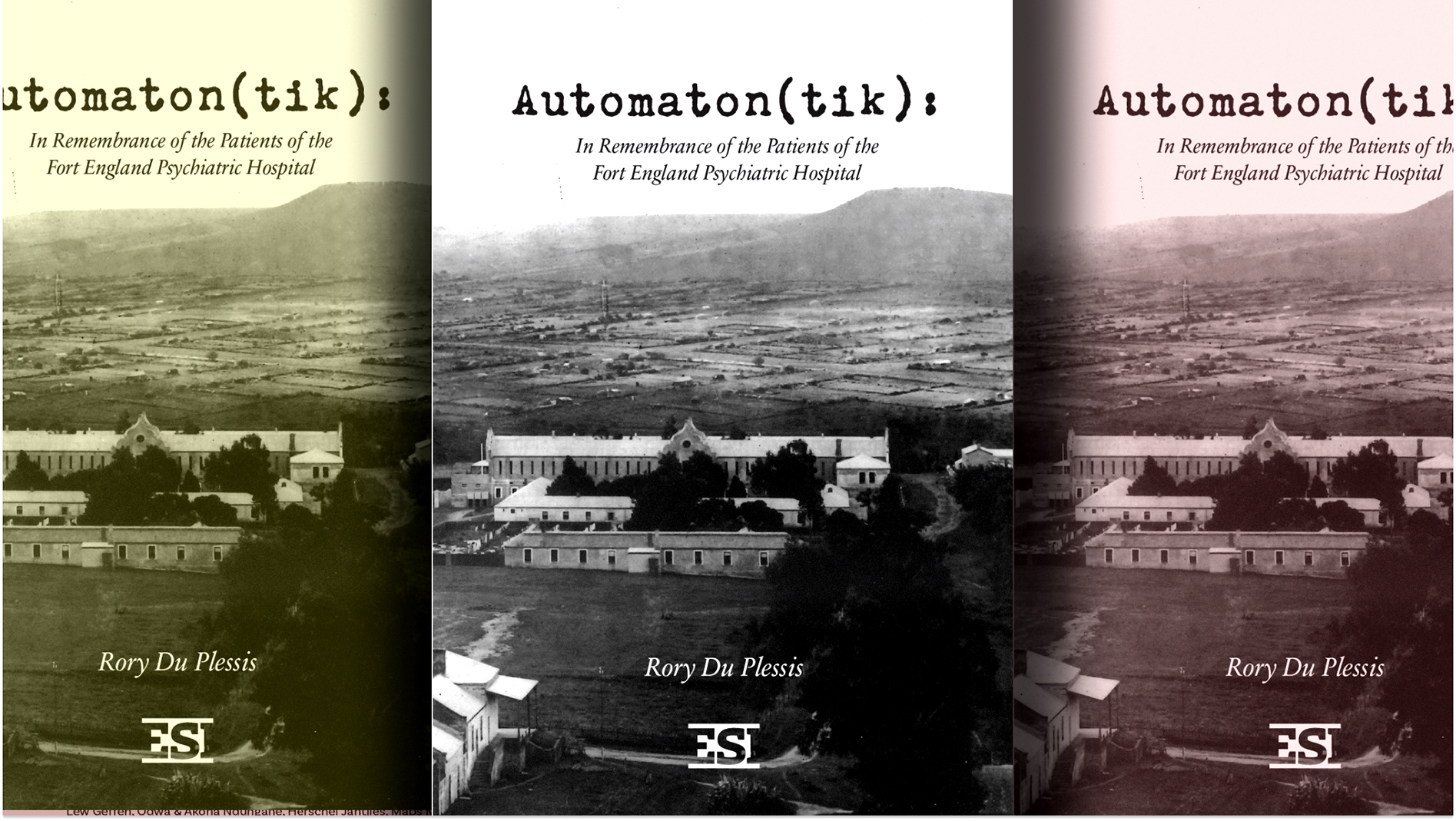 Madness and Civilisation — memorialising the lives of institutionalised individuals through poetry