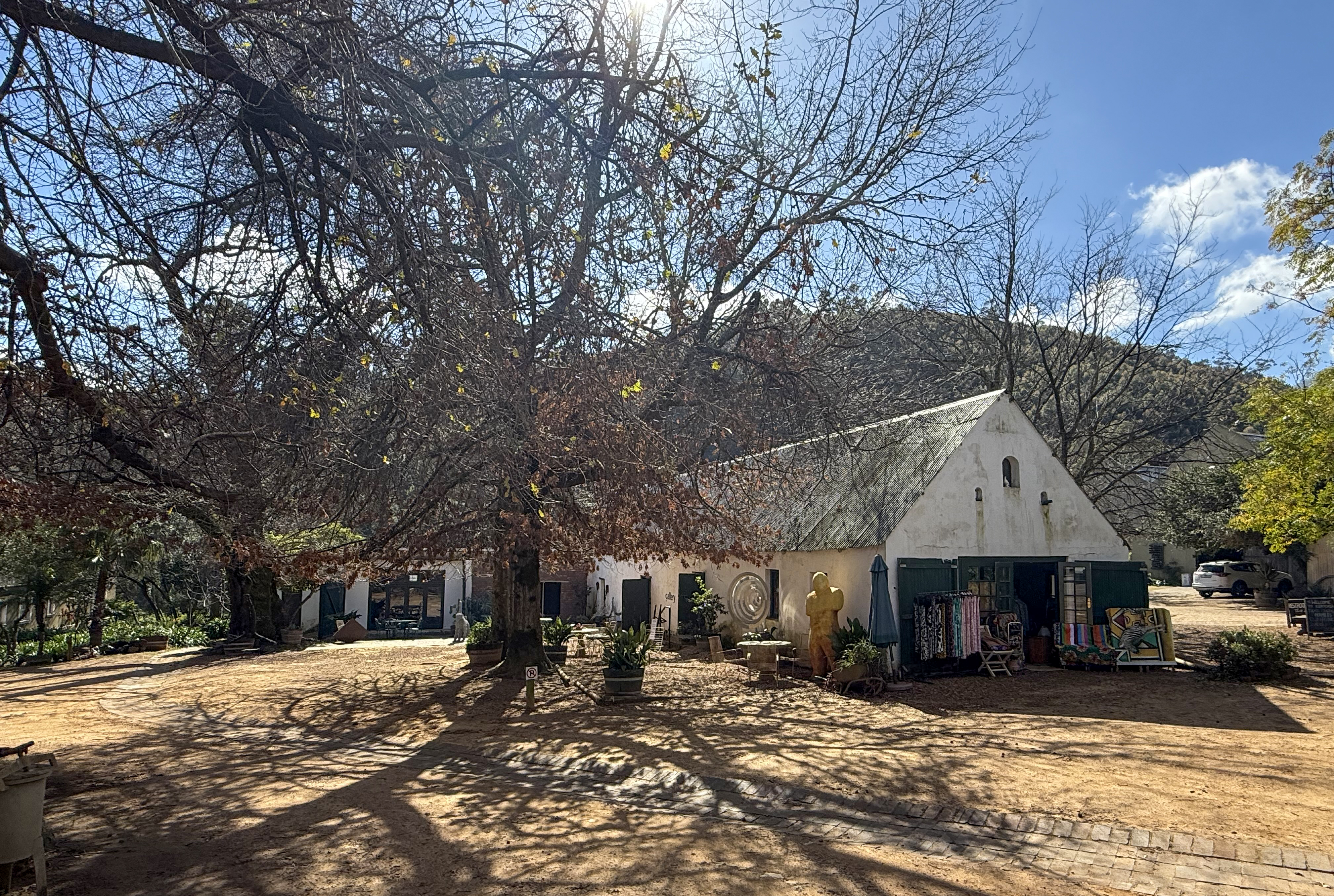 Rosé days at Muratie, the wine farm with a Table Mountain view