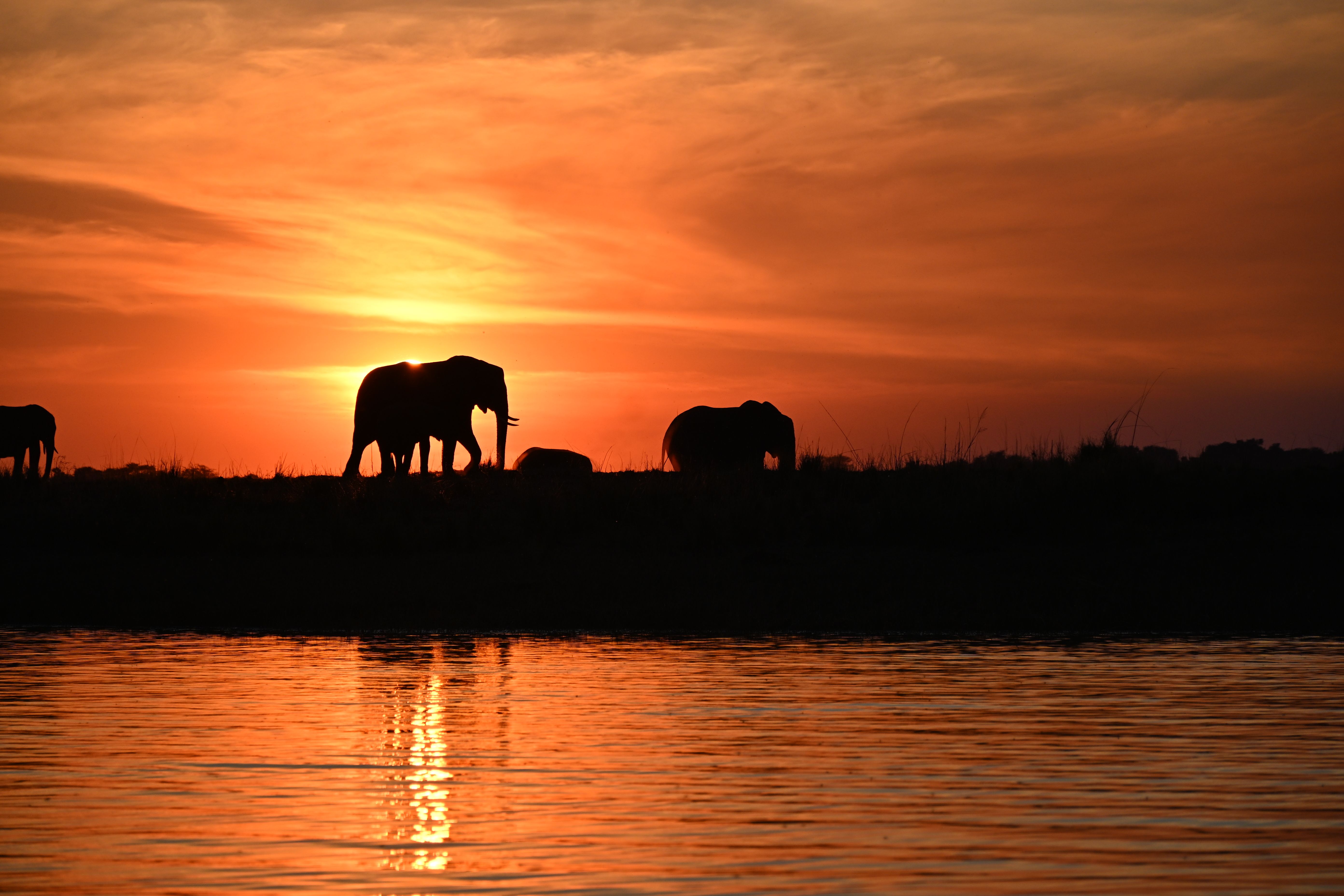 I have a picture for you! 04 October-10 October 2025