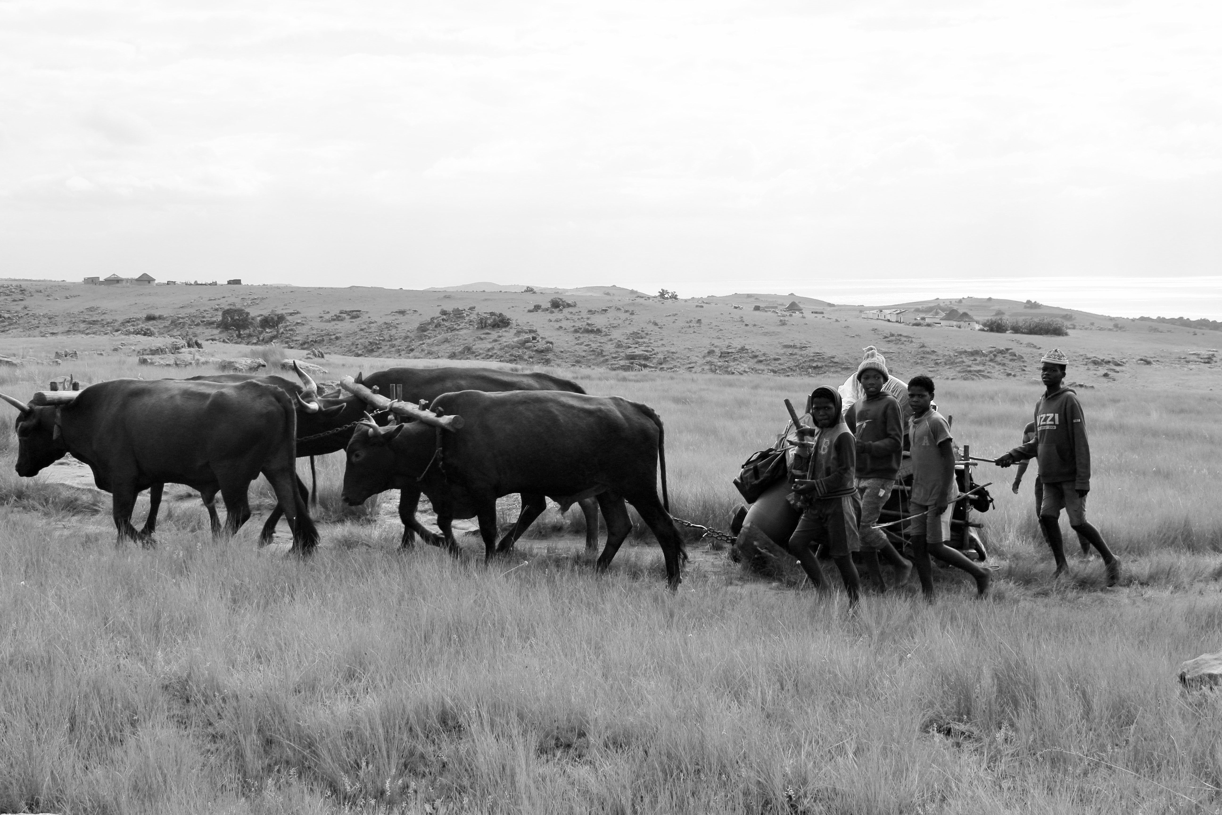 I have a picture for you! 25 October-31 October 2025