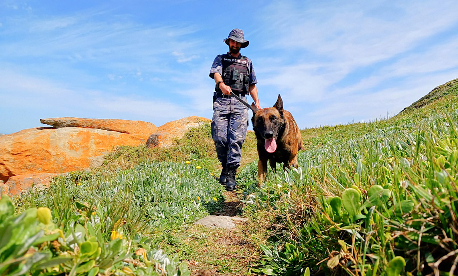 Meet Zeus, the remarkable Belgian Malinois leading the charge against coastal poaching in Gqeberha