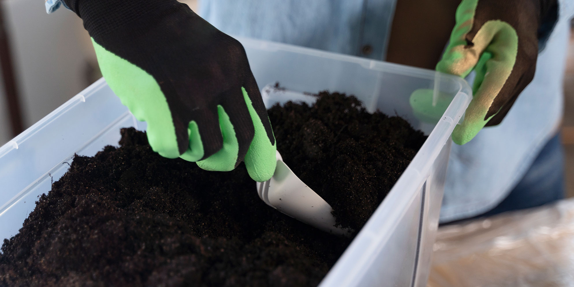 SA’s Agriculture Department logjam stalls exports and carbon credits