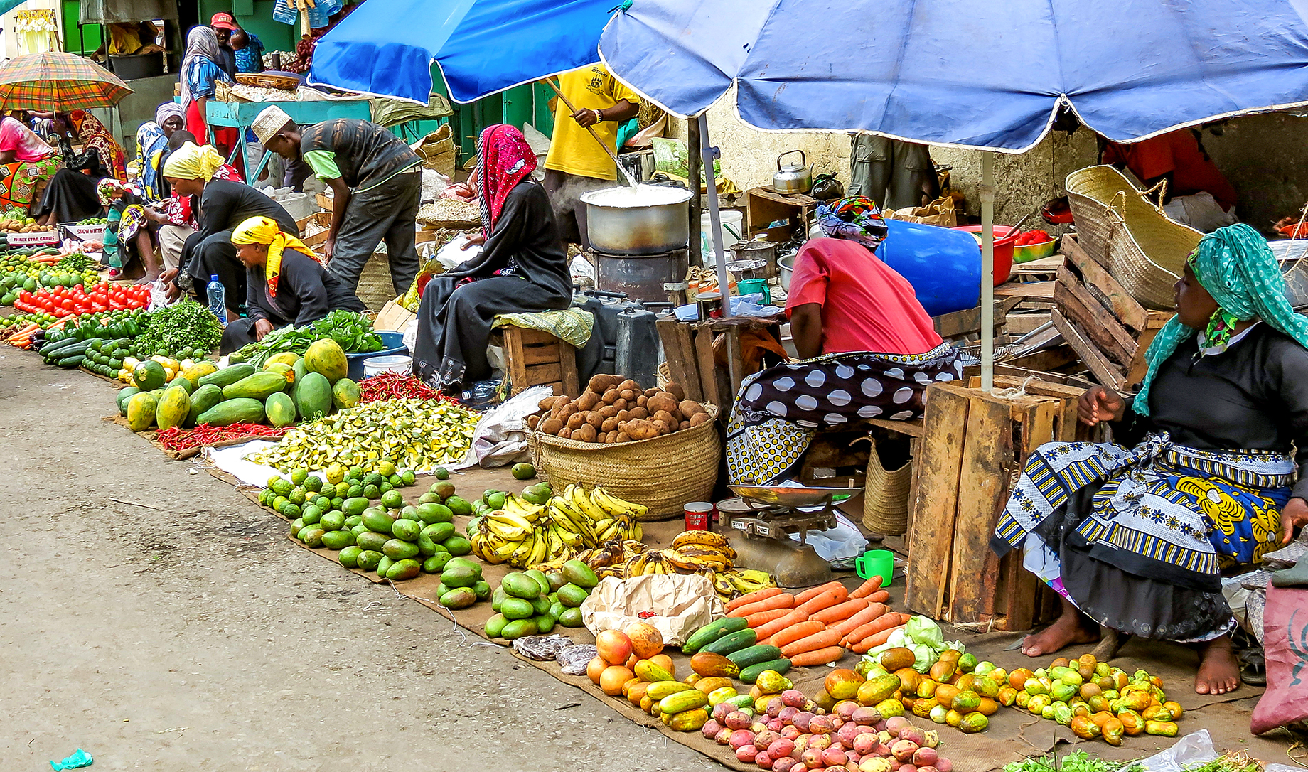 New EAT-Lancet report reveals Planetary Health Diet could save millions and heal the planet