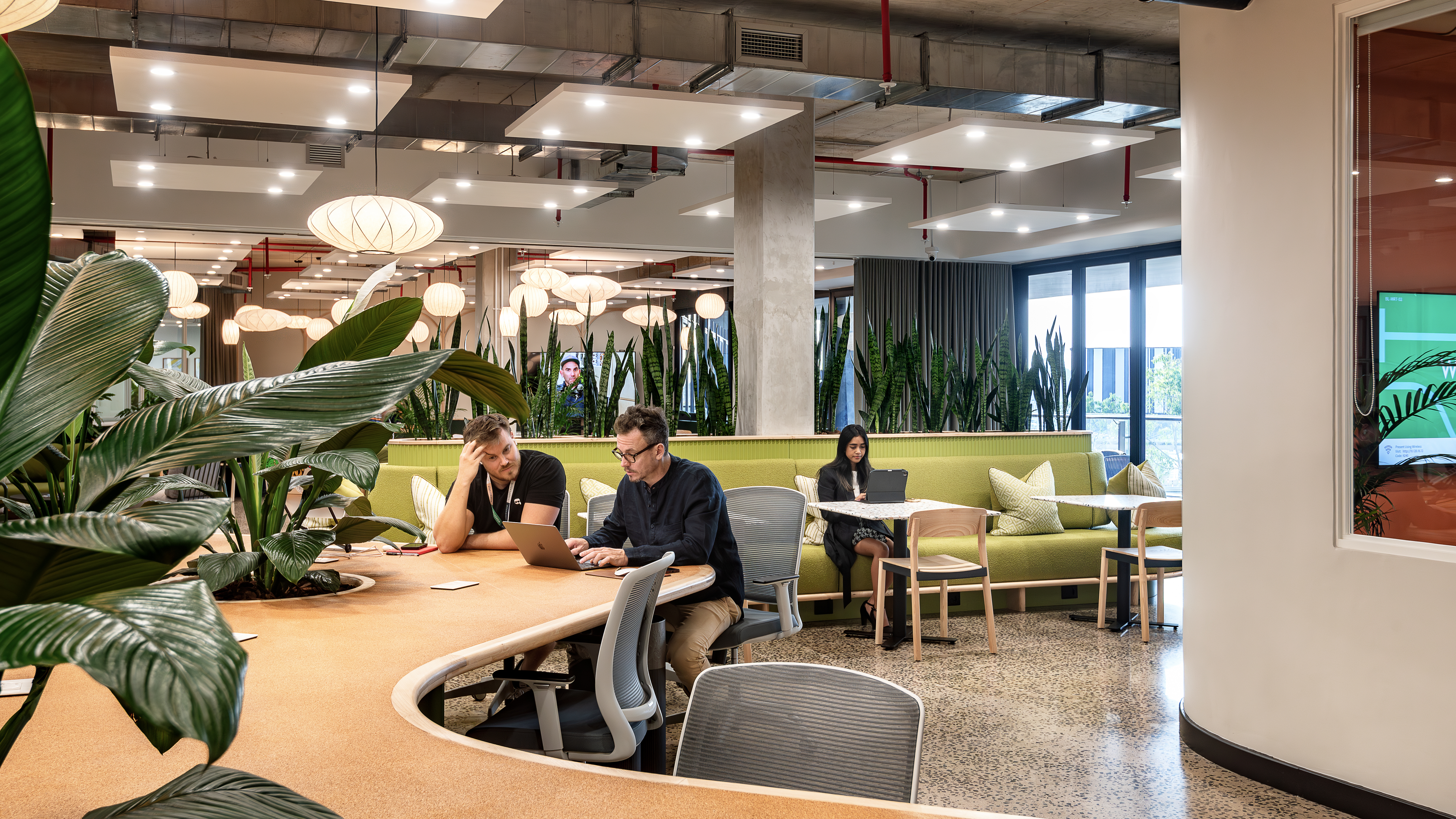 stephenrowleyphoto-6 (4)