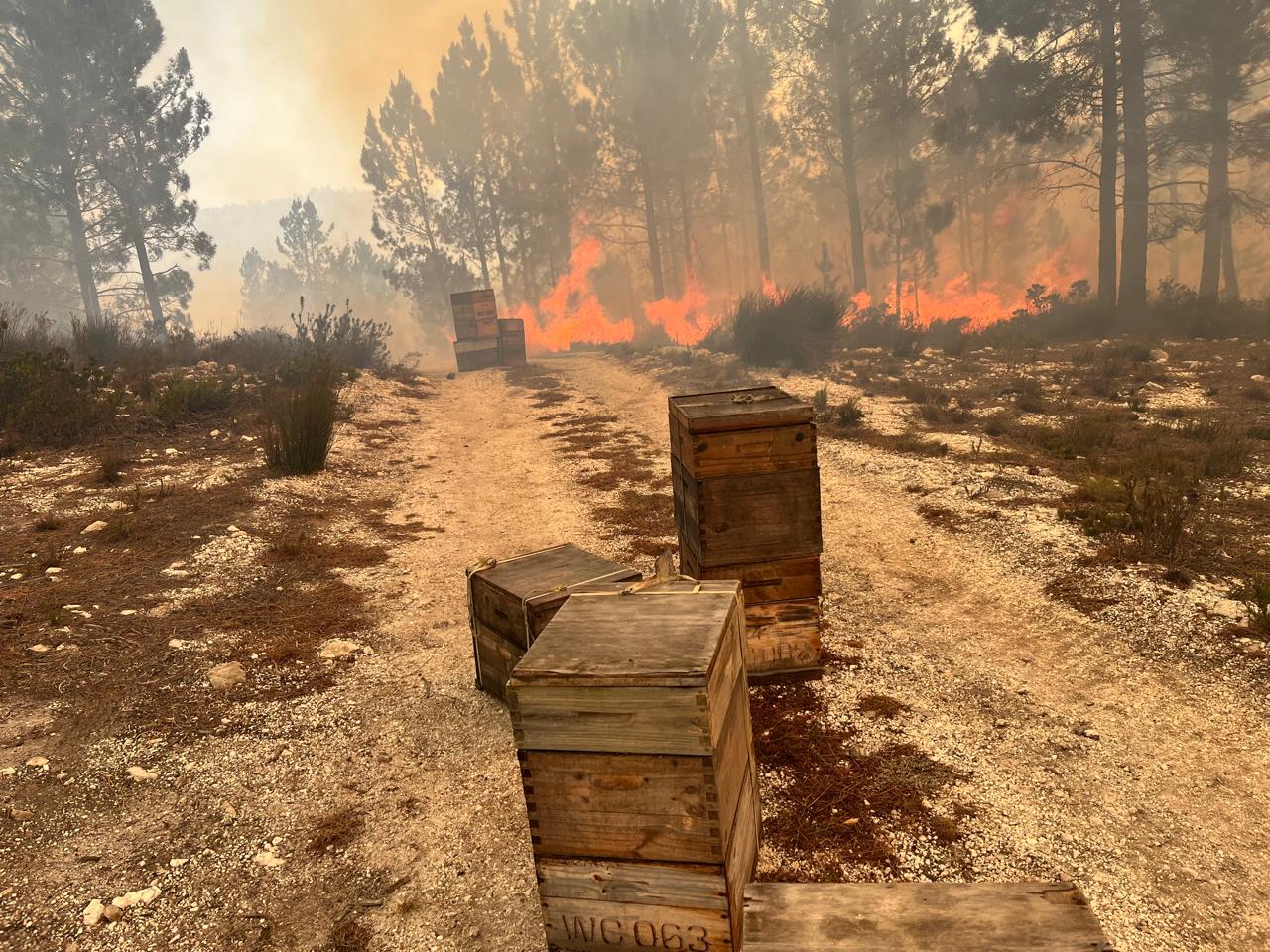 I have a picture for you! 08 November-14 November 2025