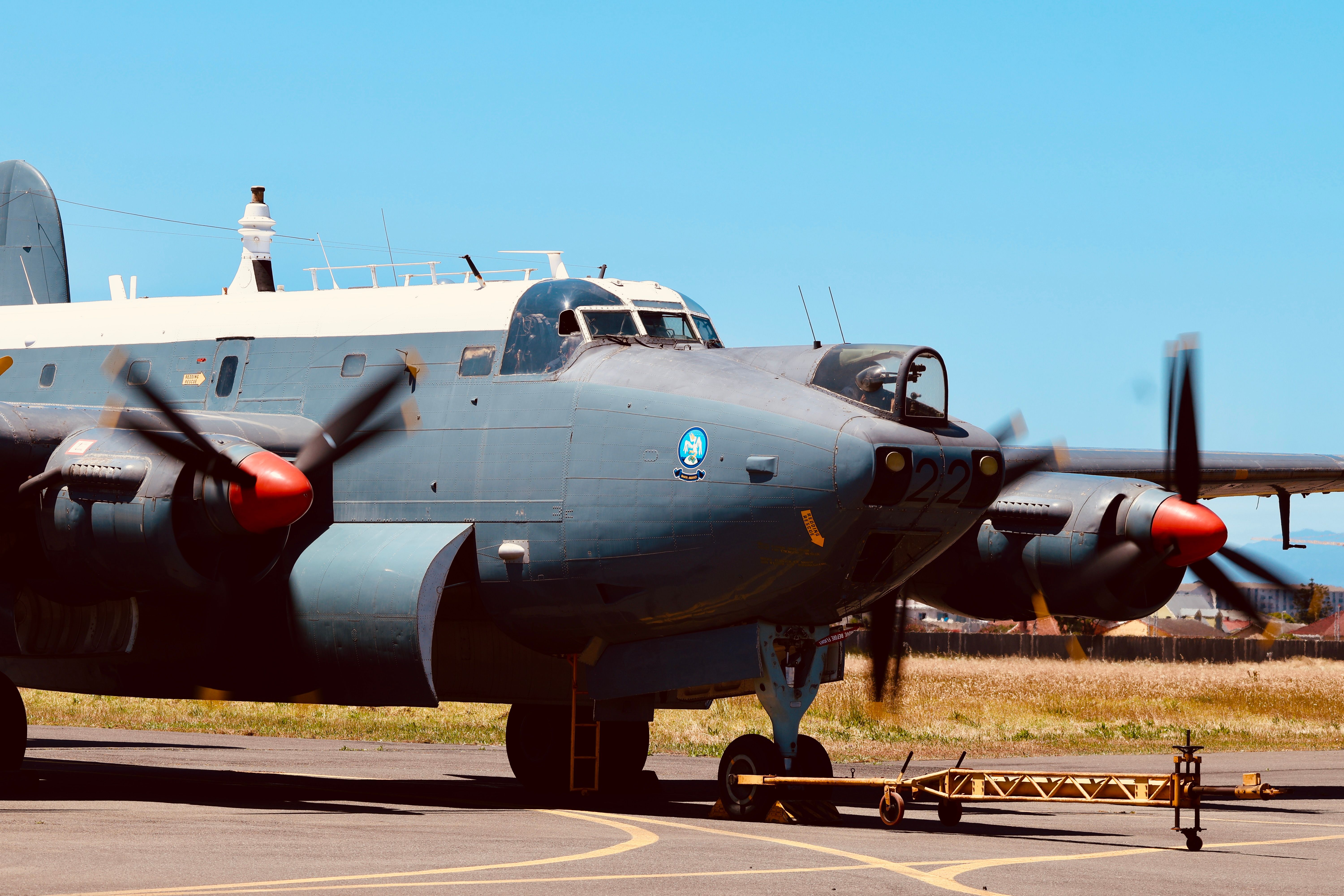 I have a picture for you! 01 November-07 November 2025