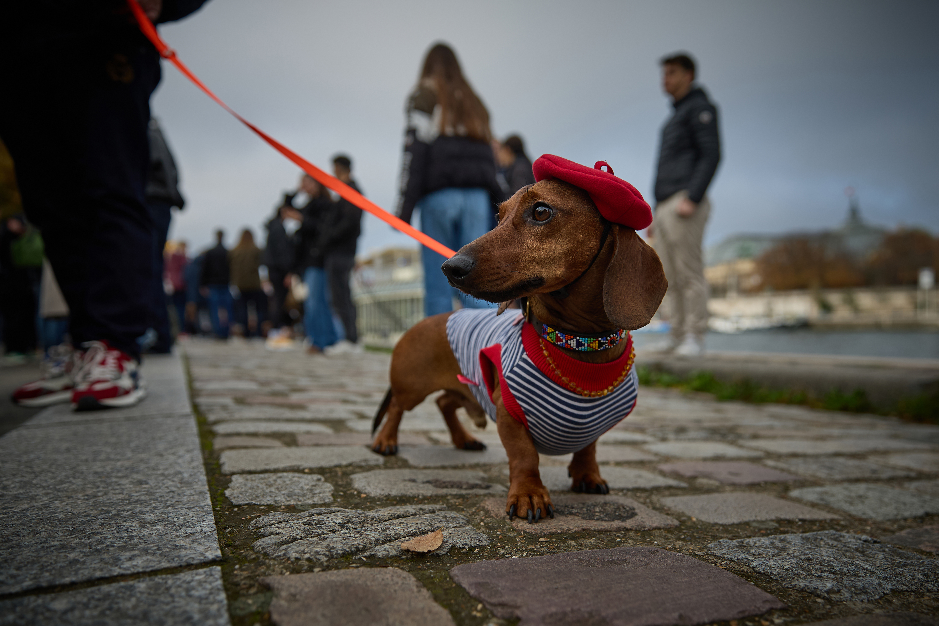 The 6th annual Paris Sausage Walk, and more around the world
