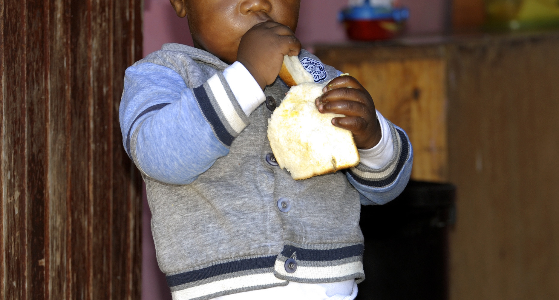 Fortification assessment — the little things put in your bread by big companies