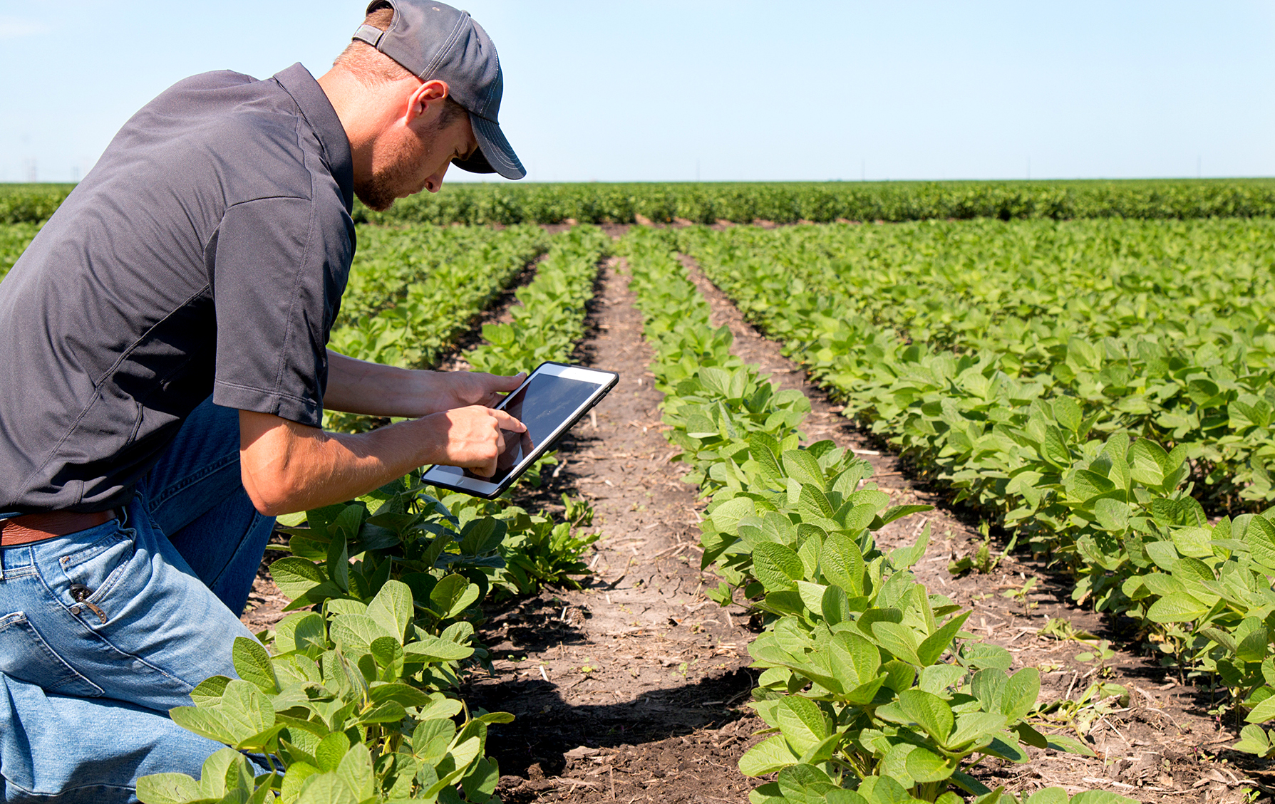 Can digital infrastructure bridge the gap between SA’s farms and the future?
