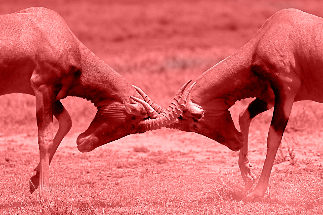 E-Tolls: A dogfight on the cards