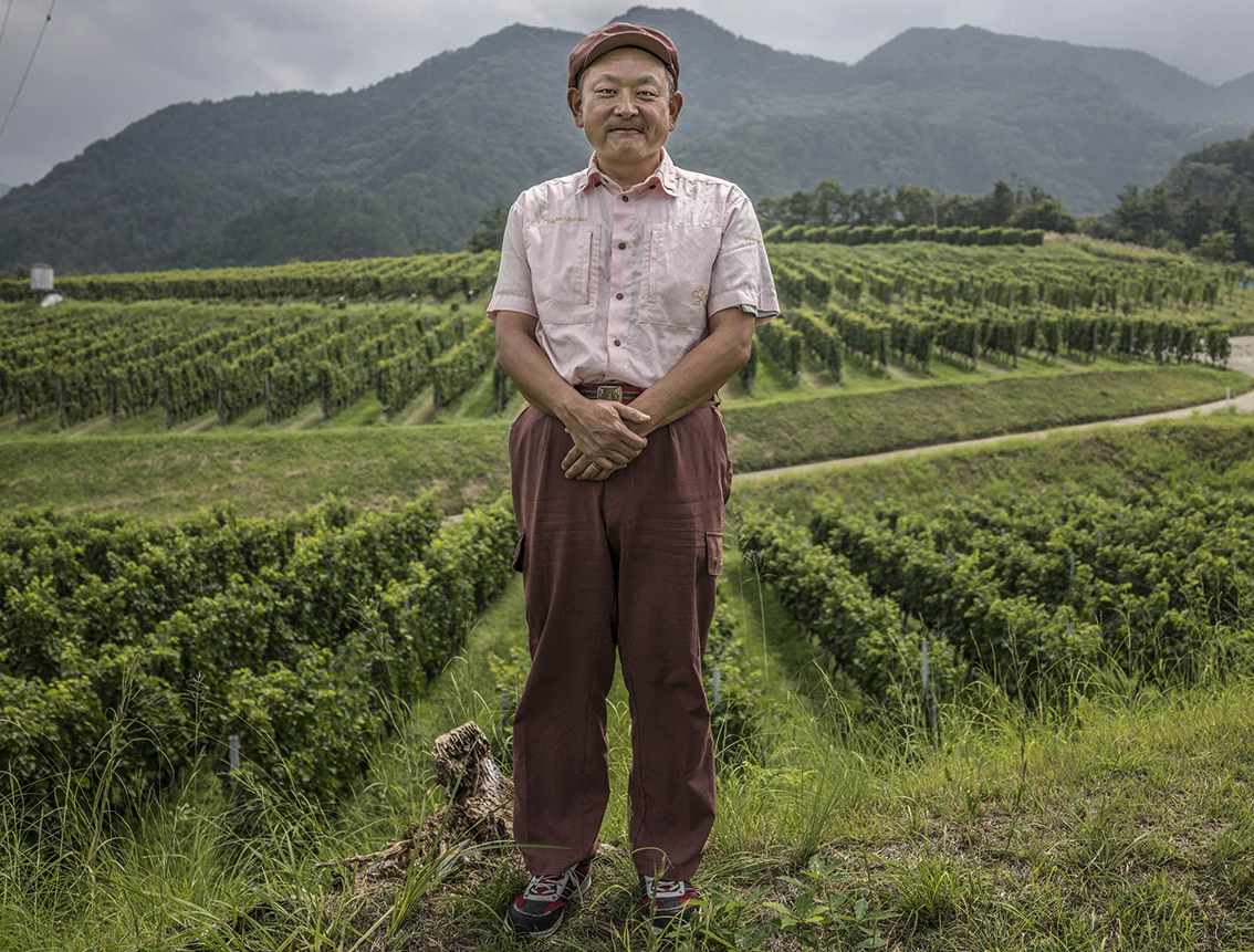 Inside the Chateau Mercian Katsunuma Winery As Japan's Oldest Winemaker Readies for European Grape Onslaught