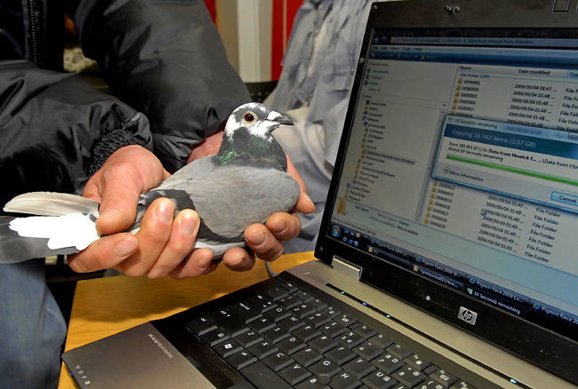 Analysis: Wait before reading Telkom's last rites, this is a mining camp