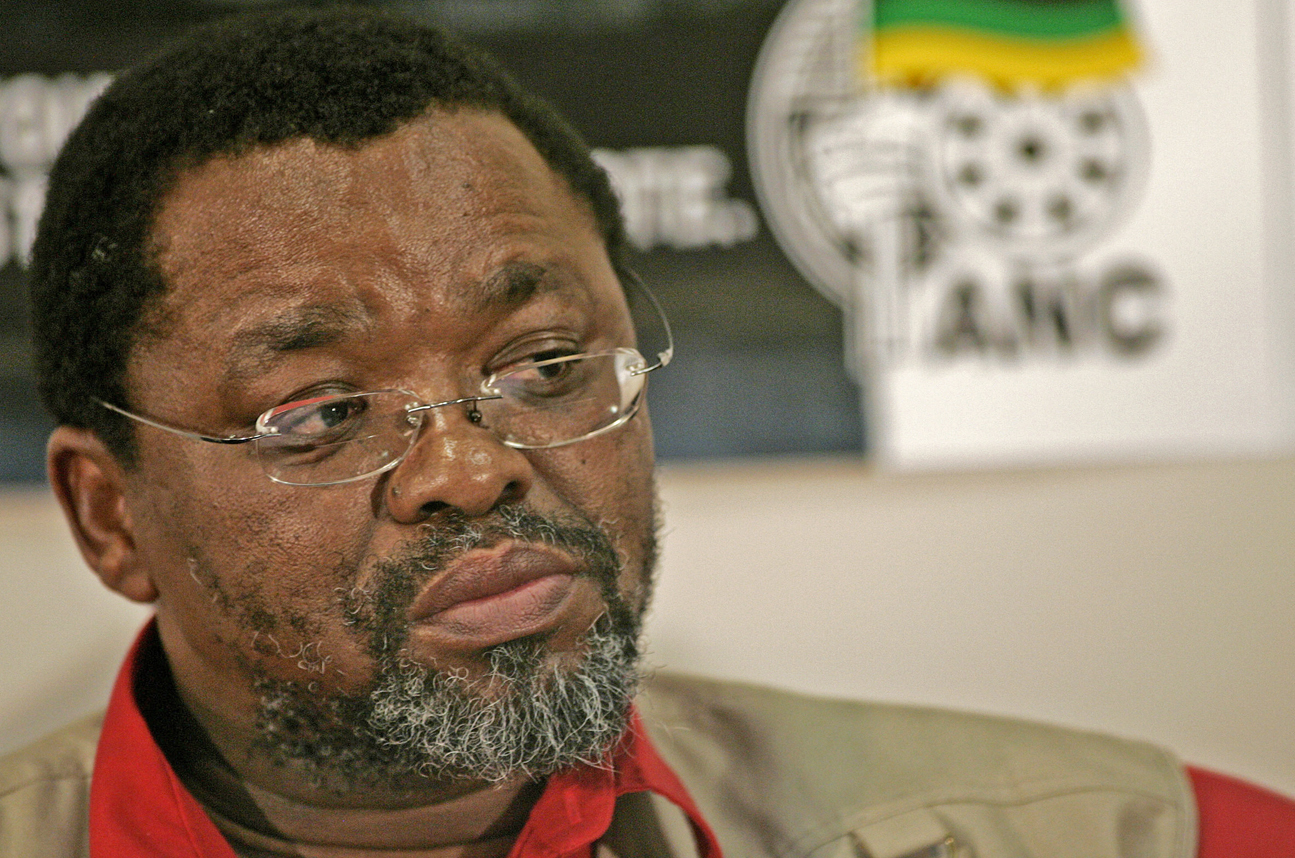 mantashe in 2010