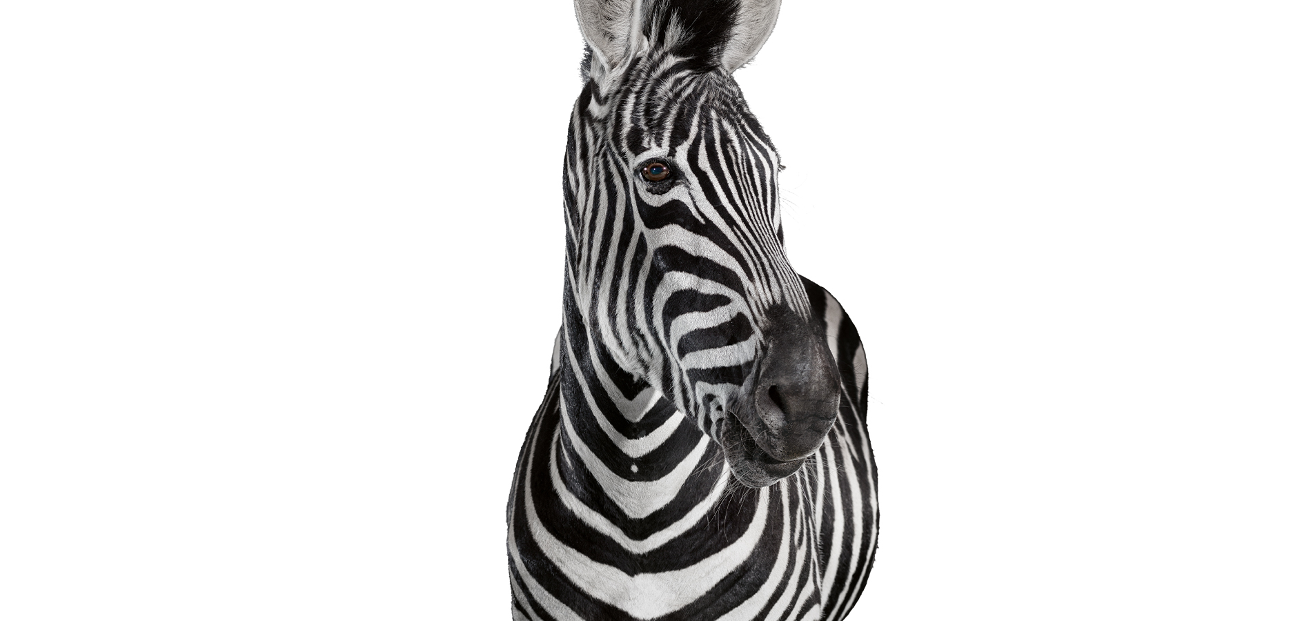 5163_Investec_FT-Award_banner-daily-1900x900