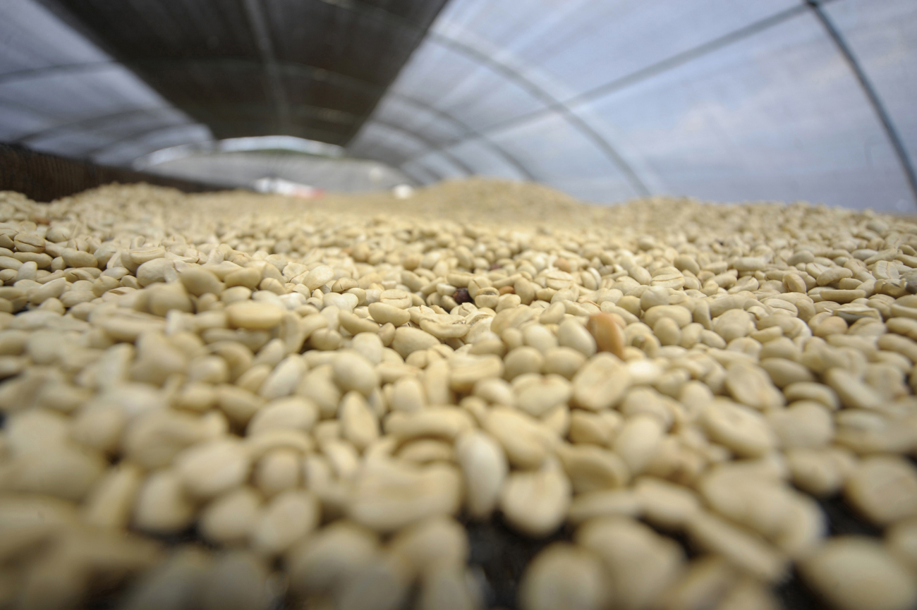 Coffee with a conscience