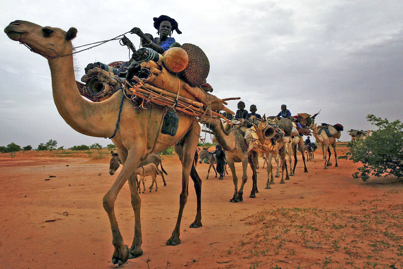 The Tuareg people and the mystery of the Niger convoy