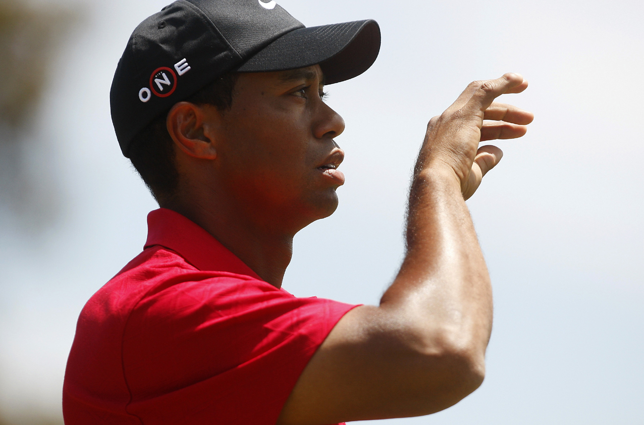 tiger woods fallen hero