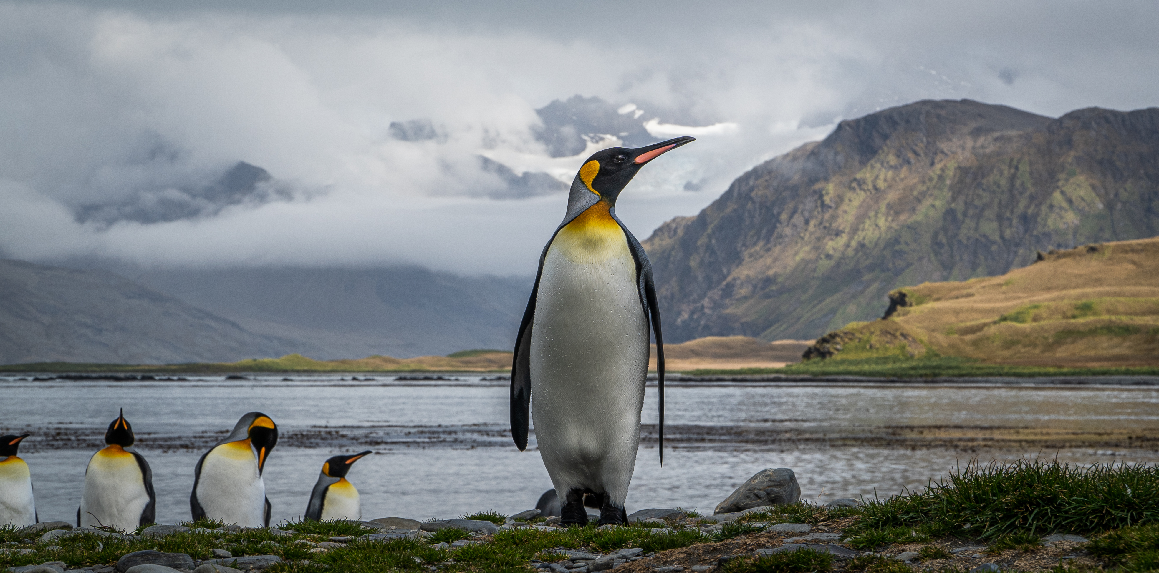 6061_20665_JackEvans_UnitedKingdom_Open_NaturalWorldWildlife_2021