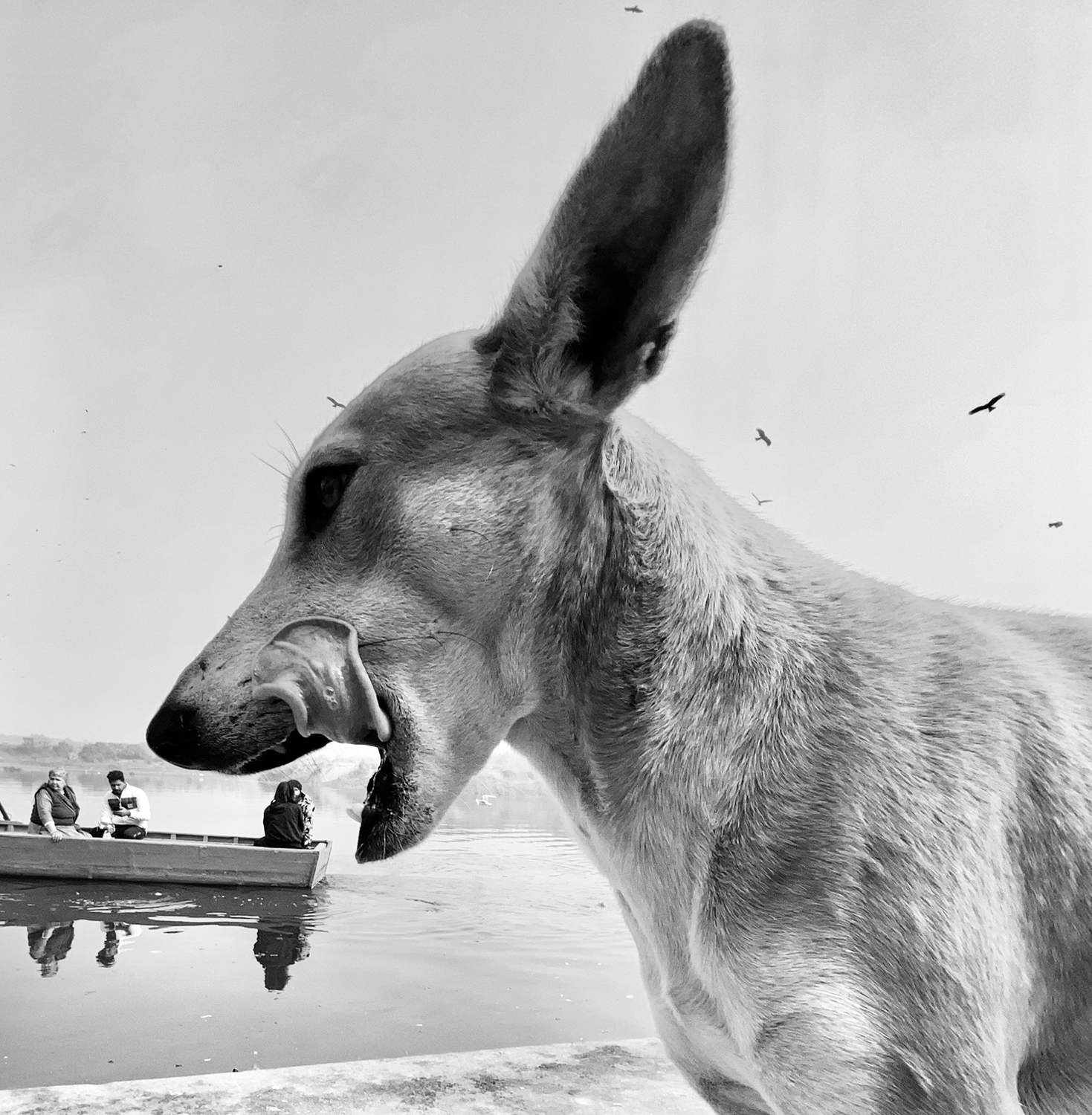 Sony World Photography Awards 2021: Winners in the Open Competition (Part One of Two)