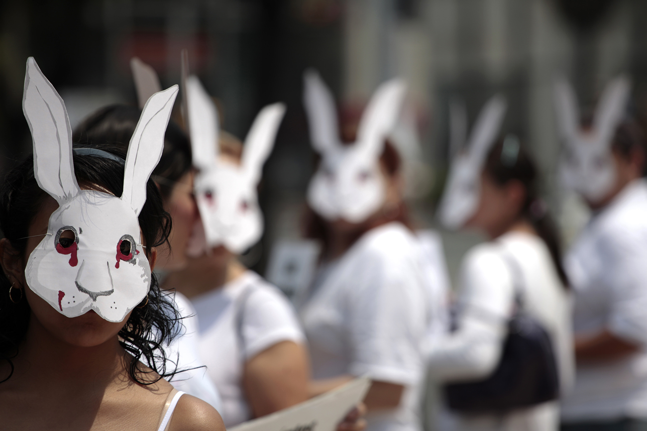 Science and animal testing - a  minefield of necessity and emotion