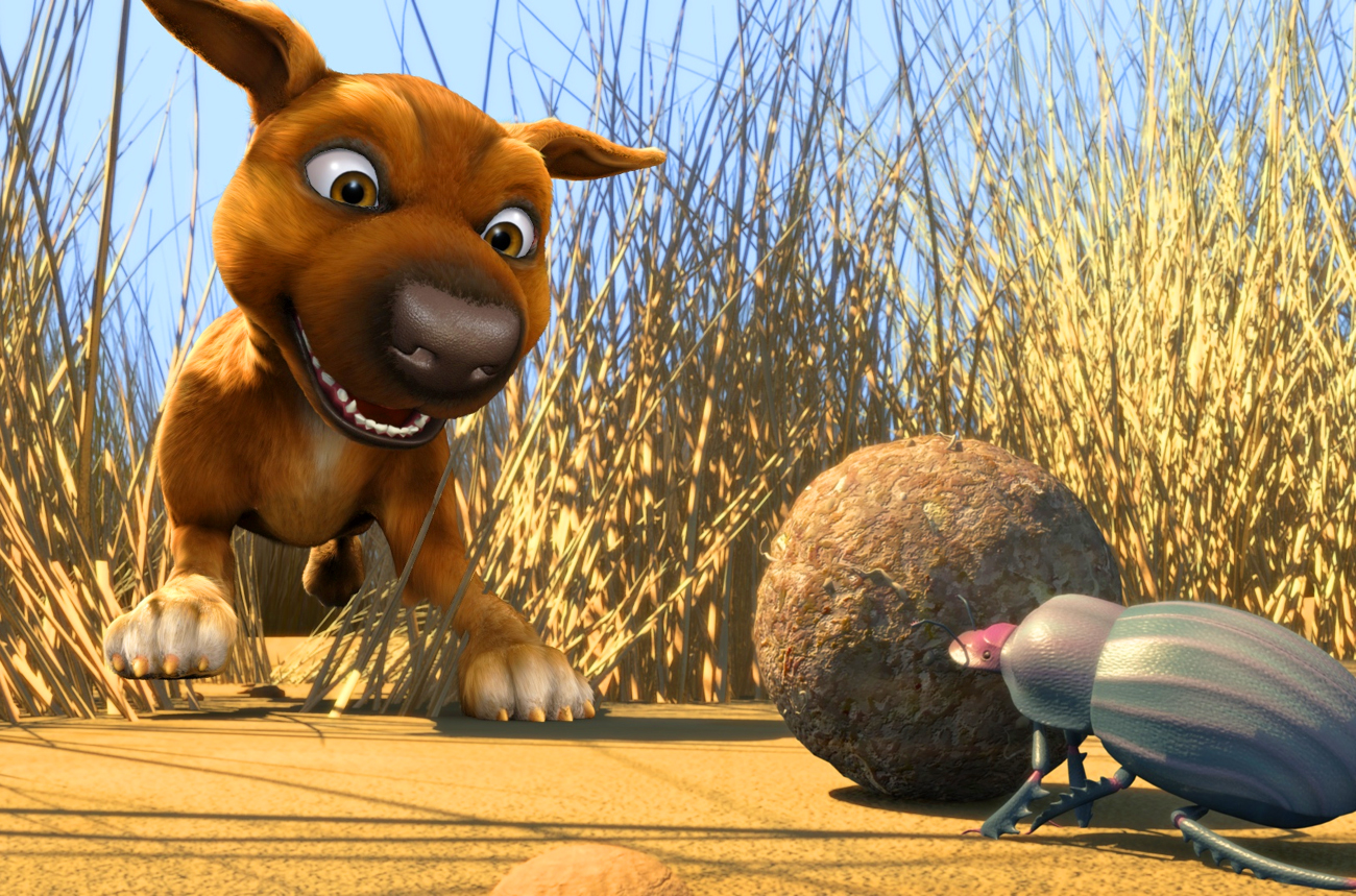 ANALYSIS: The Jock of the Bushveld dilemma