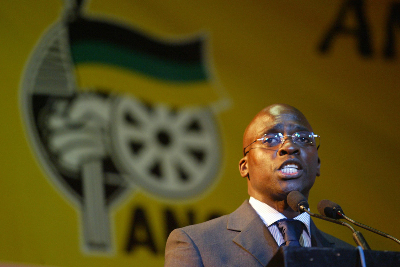Transformation Minister Malusi Gigaba, the consummate ANC man in government