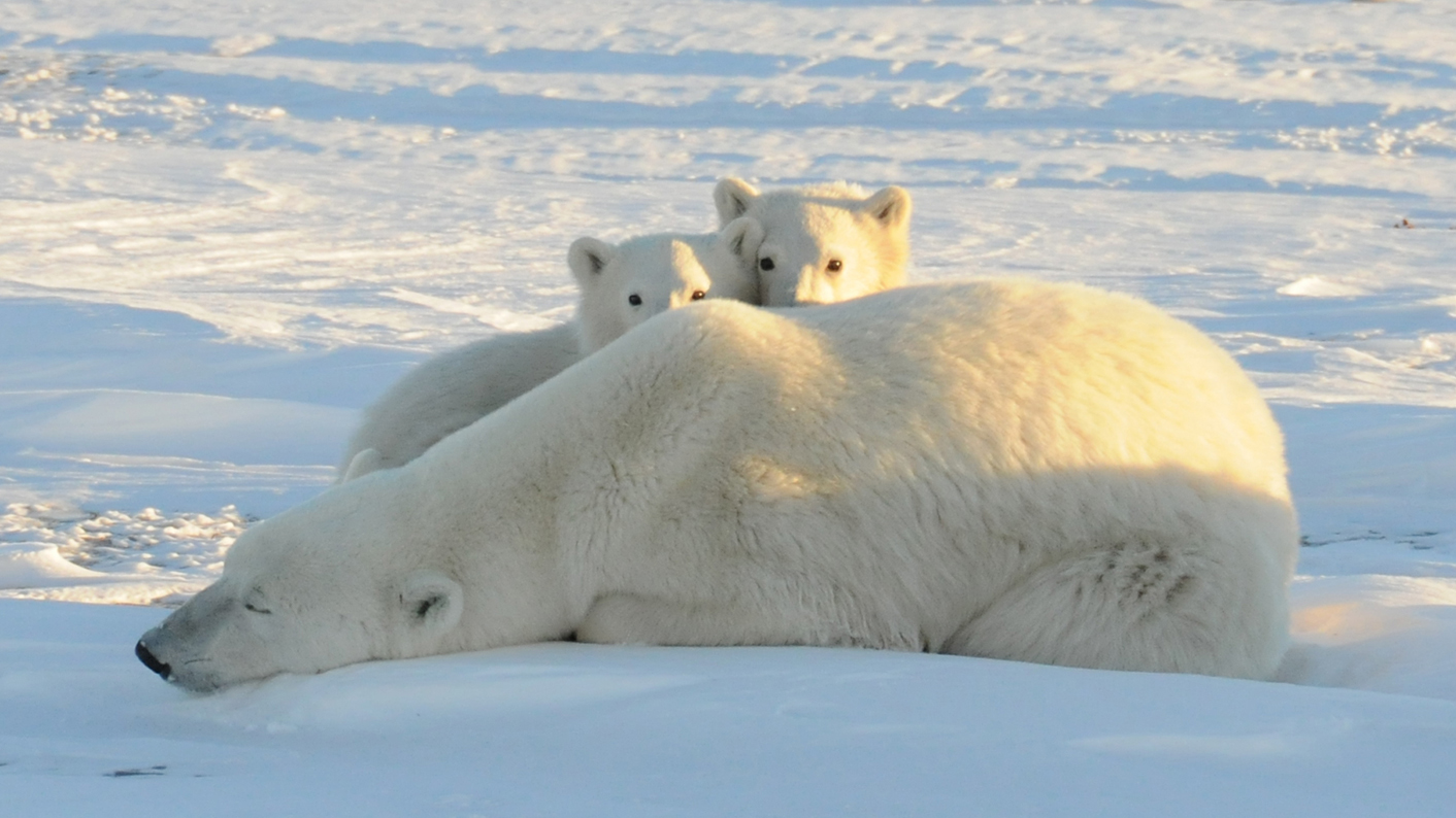 Scientists unlock ocean CO2 secrets key to climate