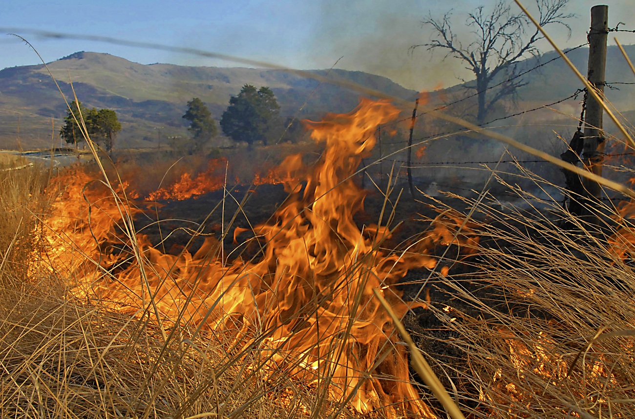 745 million reasons black farmers aren't thriving
