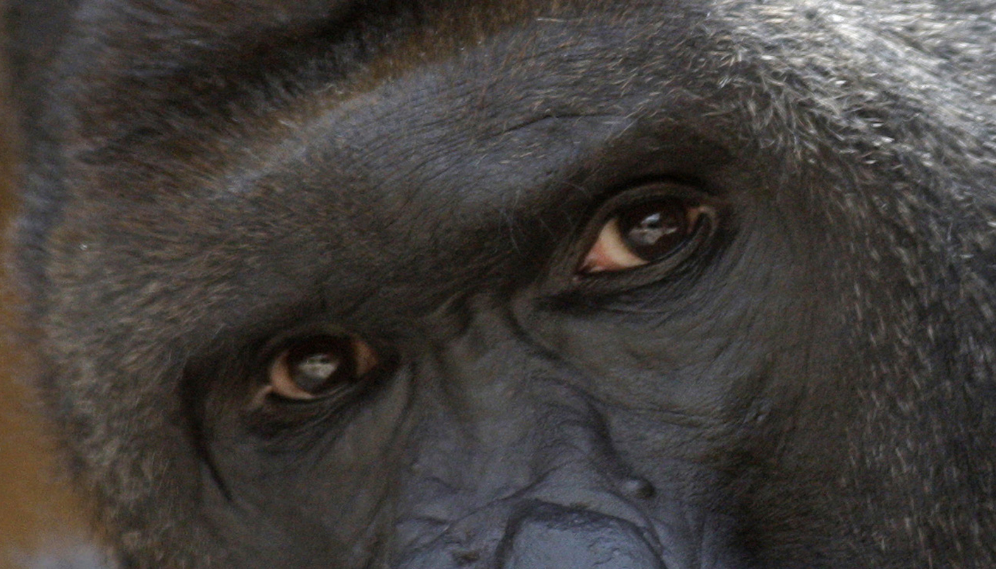 Dear humanity, time to look in the mirror