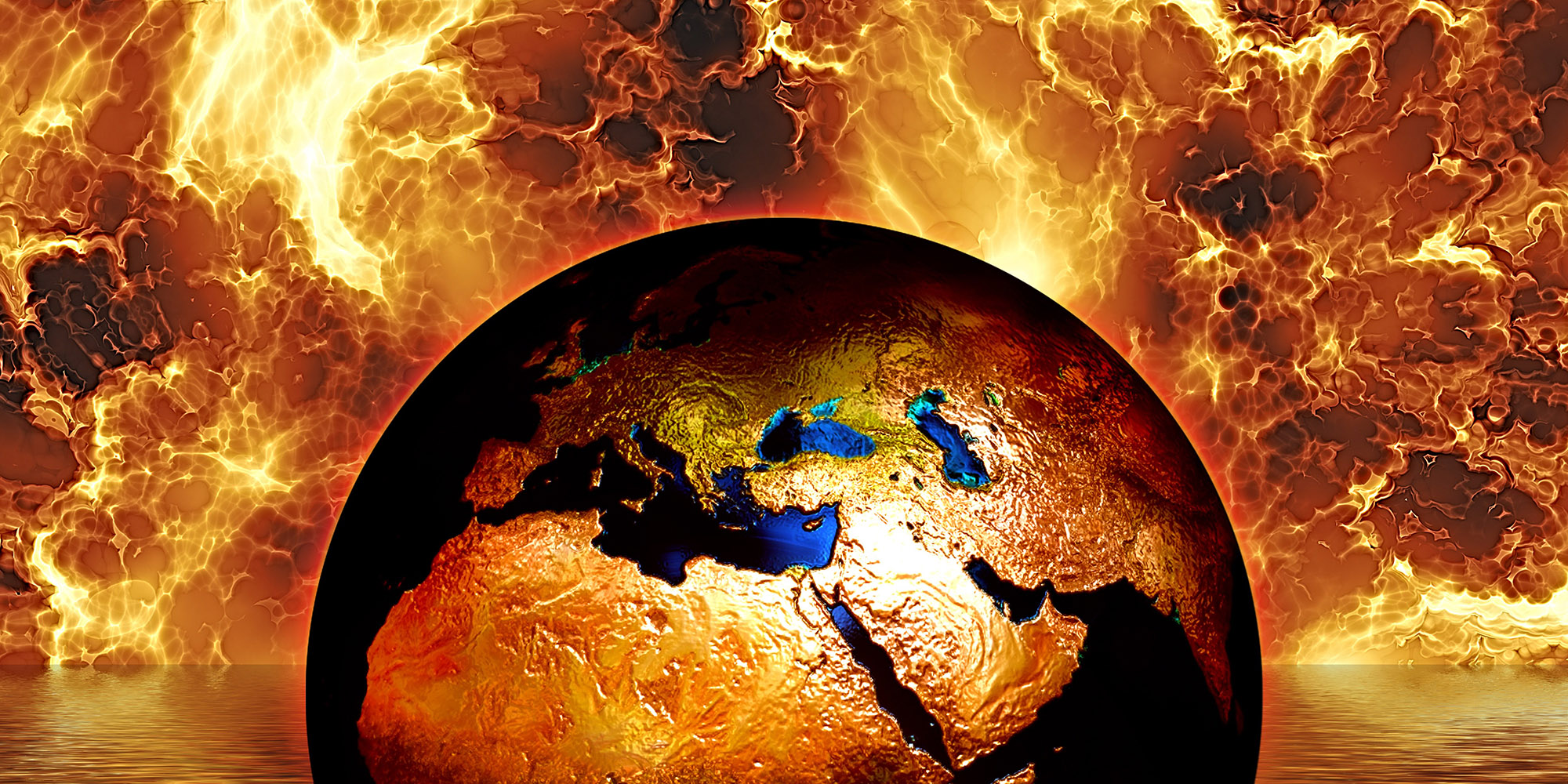 #EarthCrimes: Digging dung during a global crisis