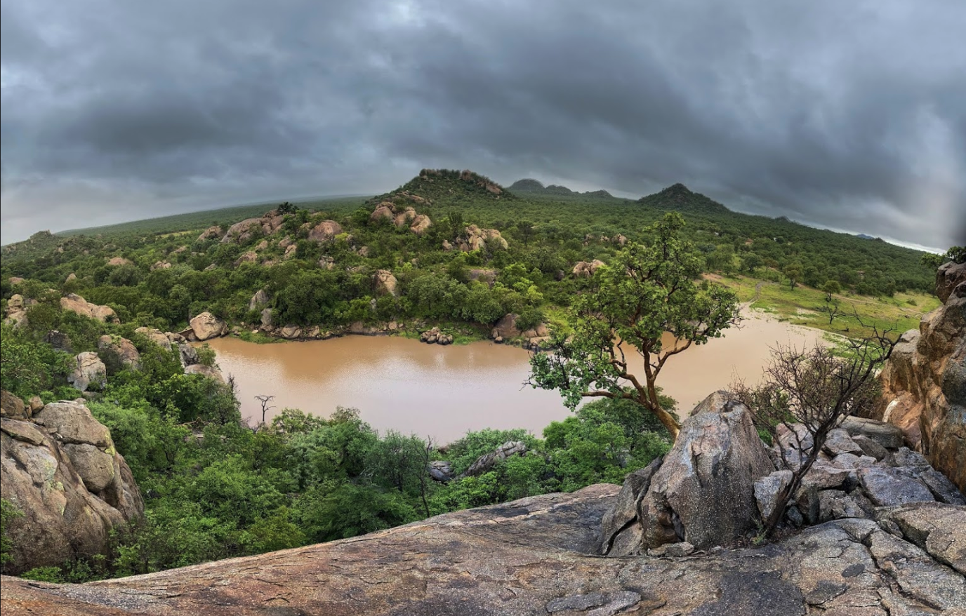 Land reform and conservation meet on the banks of the Selati River