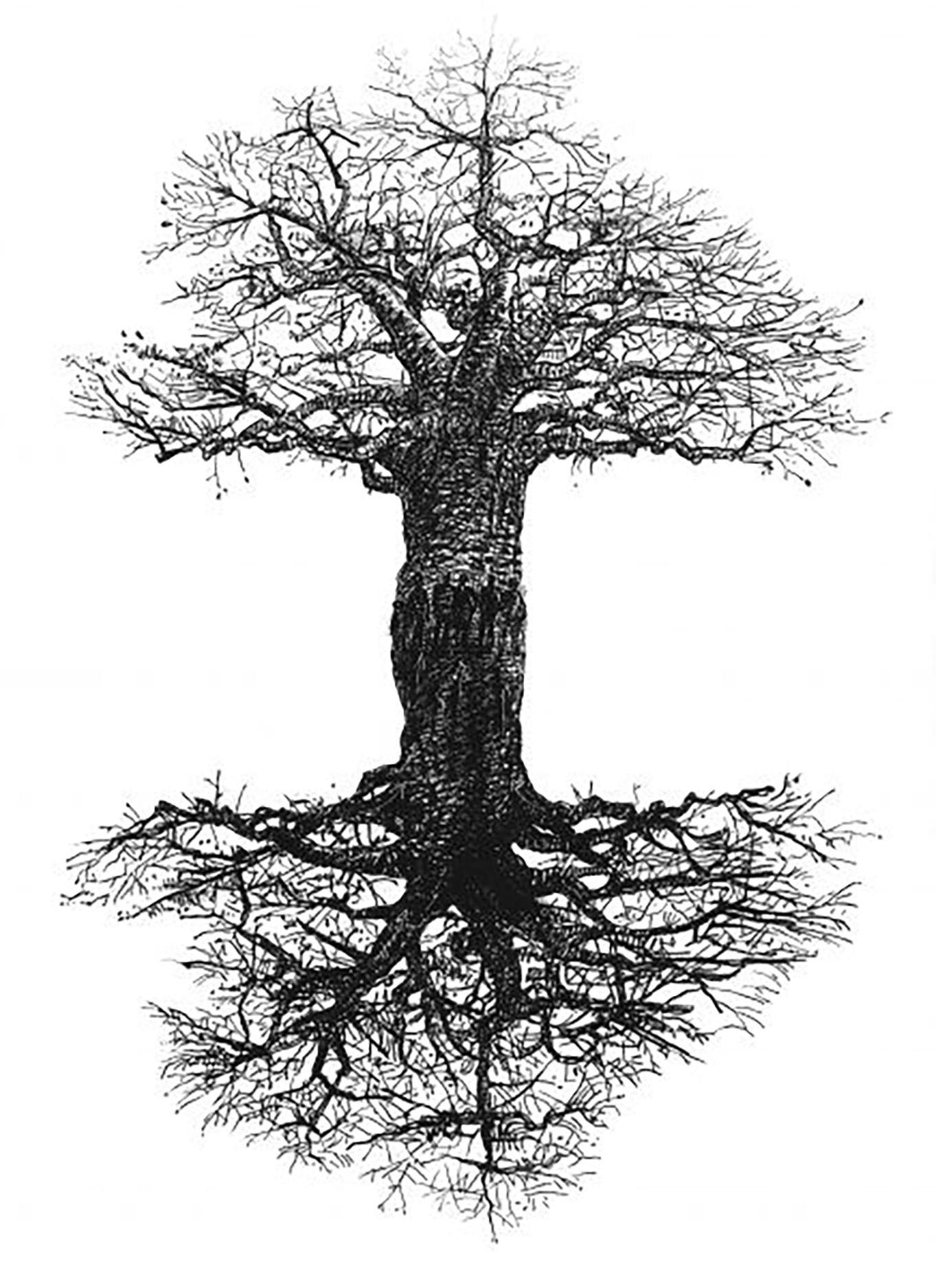 Our Constitution: dealing with stress and redress