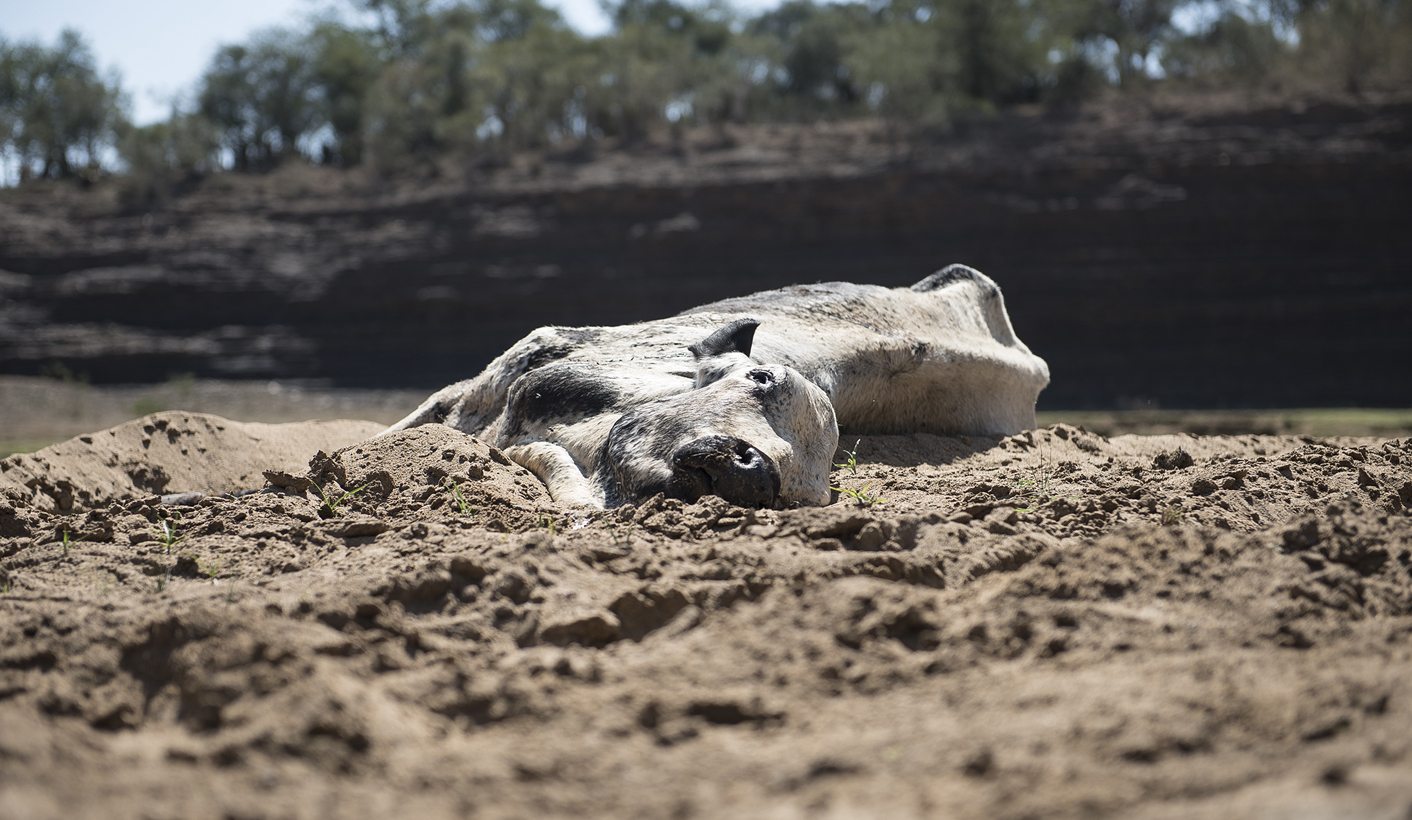 Gauteng Farmers: ‘We’re happy it rained, but it’s not enough’