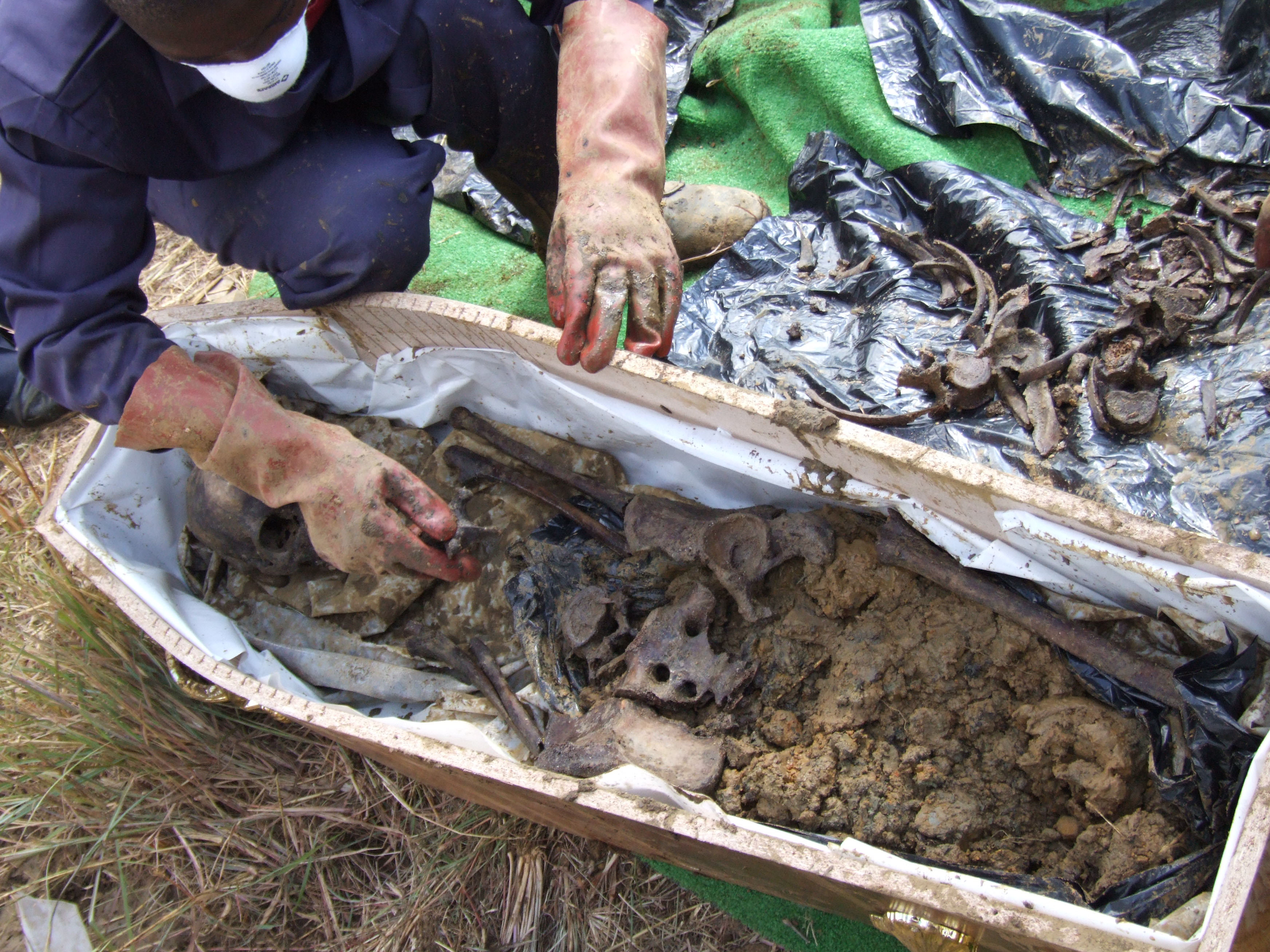 ‘Those graves were our title deeds’