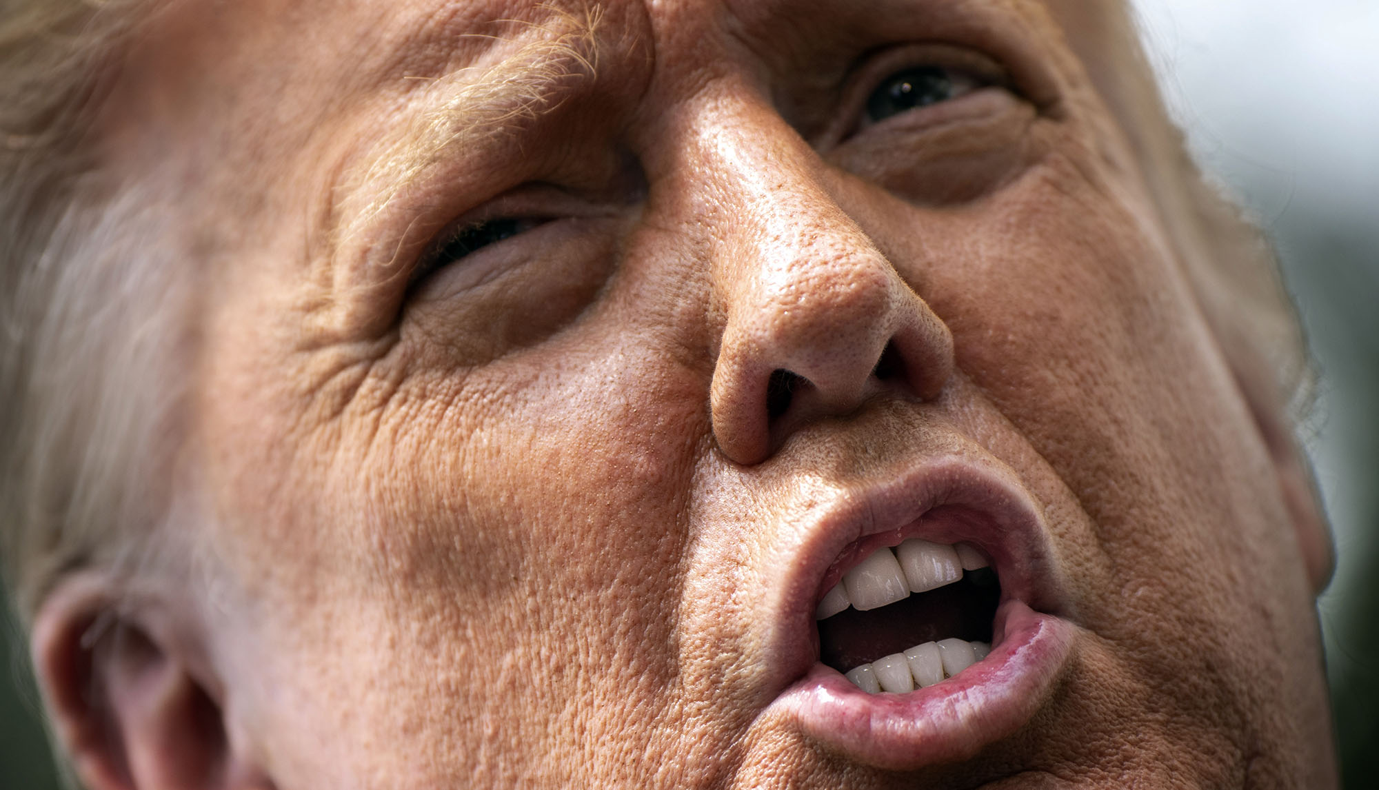 No, we’re not going to waste our shot at freedom