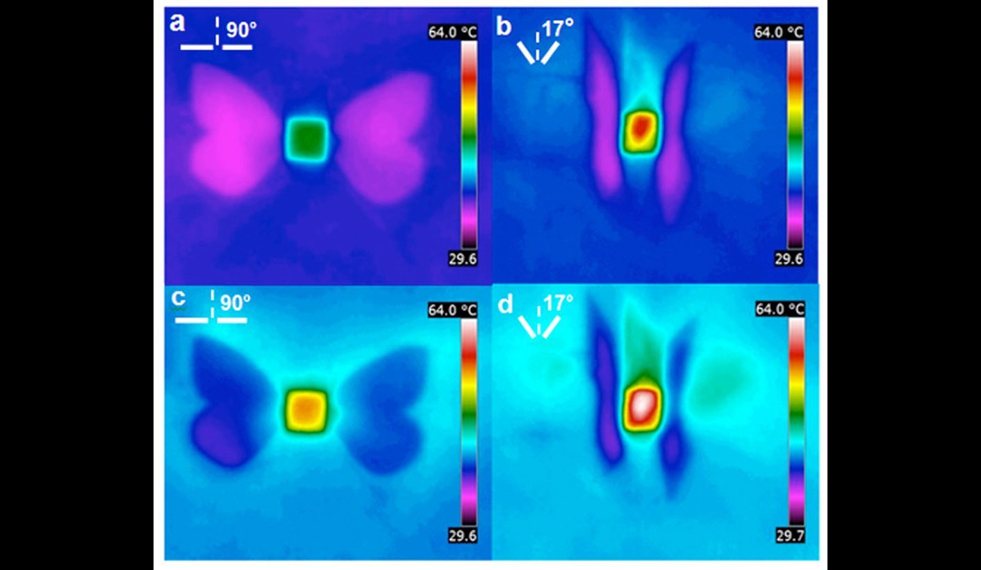 Biomimicry: When sunbathing butterflies inspire solar technology