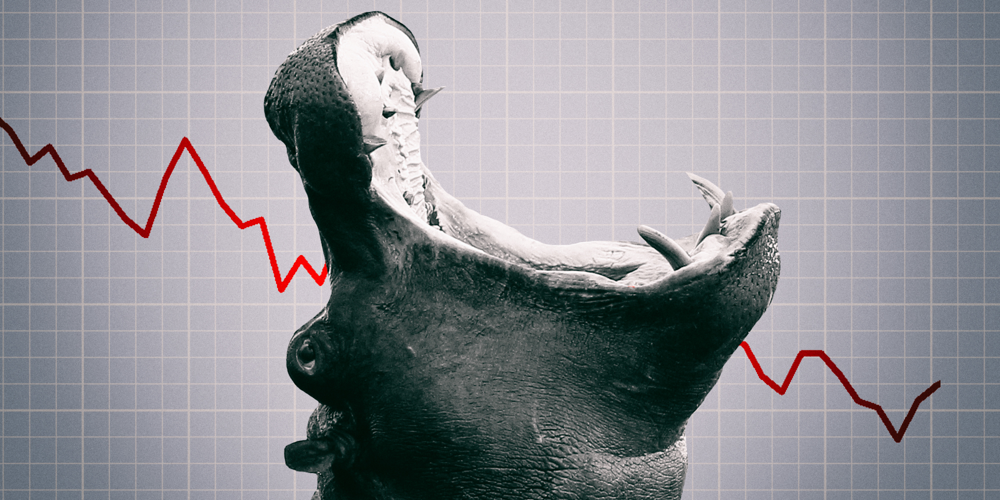 Mboweni starves most SOEs of additional funding to ‘close the hippo’s mouth’