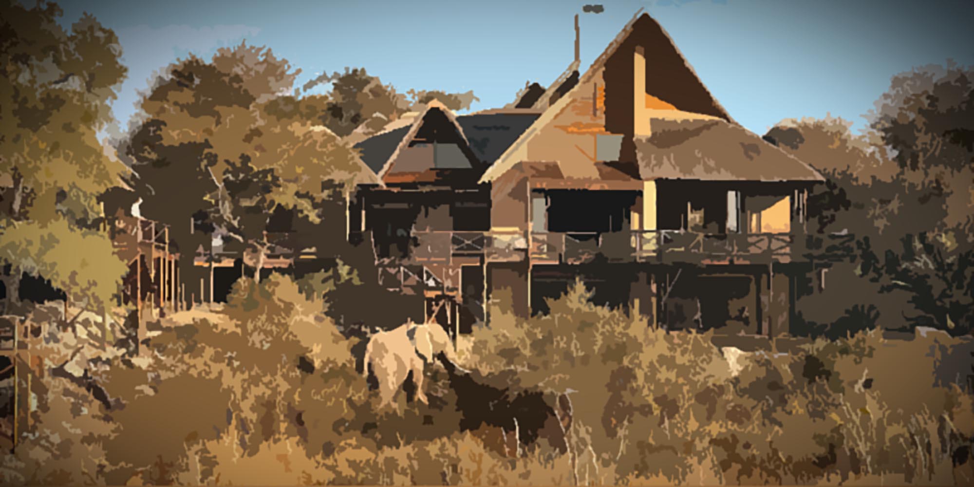 (Photo: https://lukimbi.com)