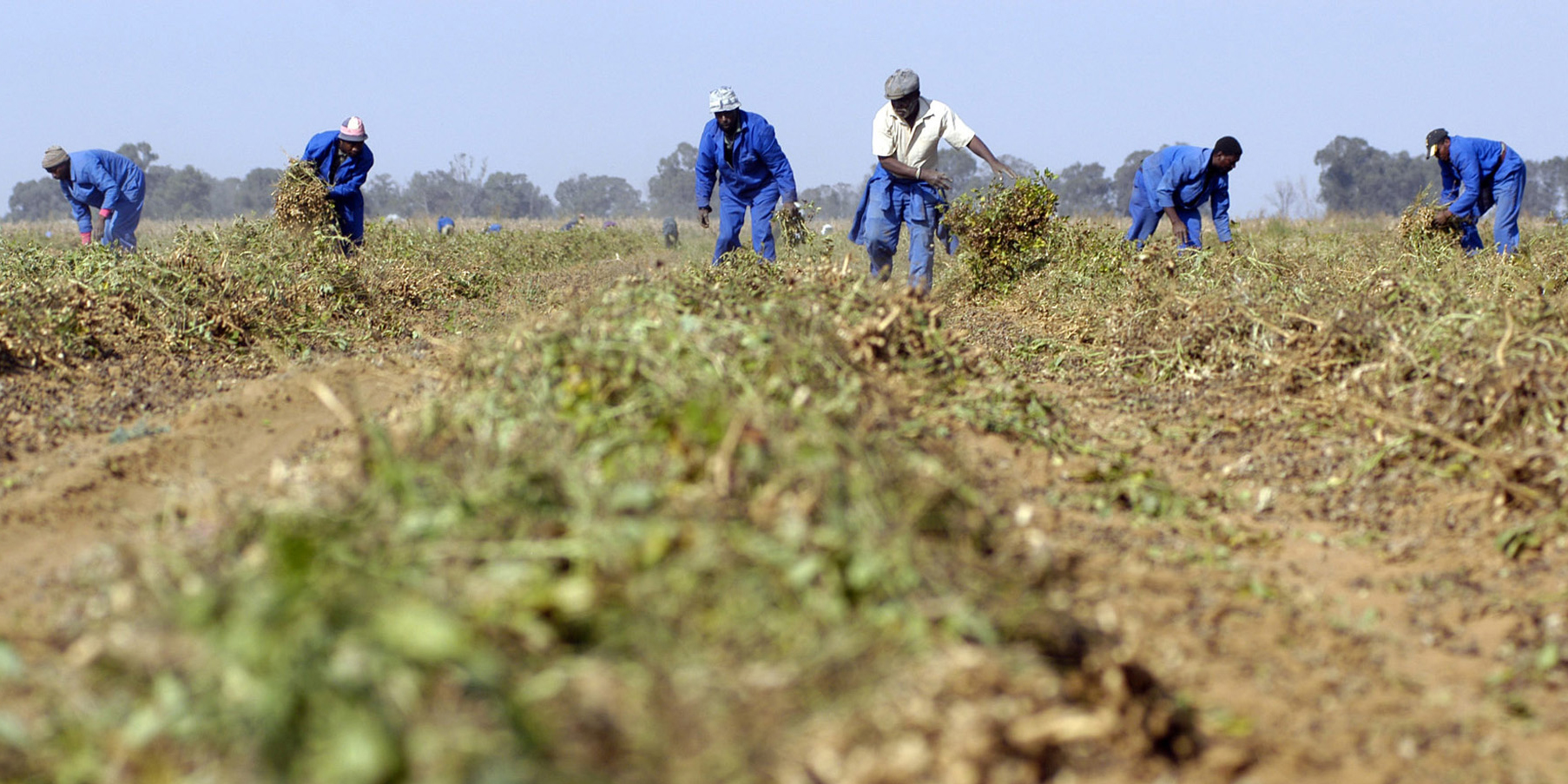 SA July food inflation hits 16-year low, slowing CPI trajectory