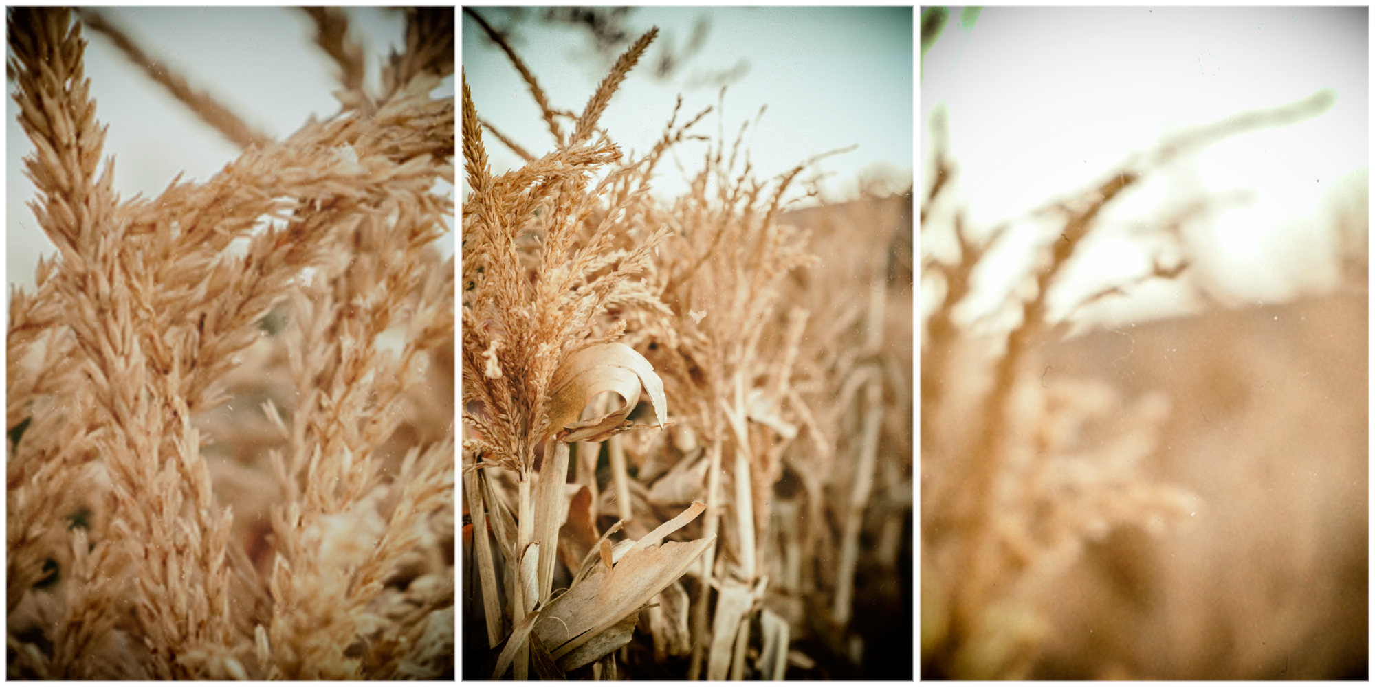 Here is what’s behind the surge in global agricultural commodity prices