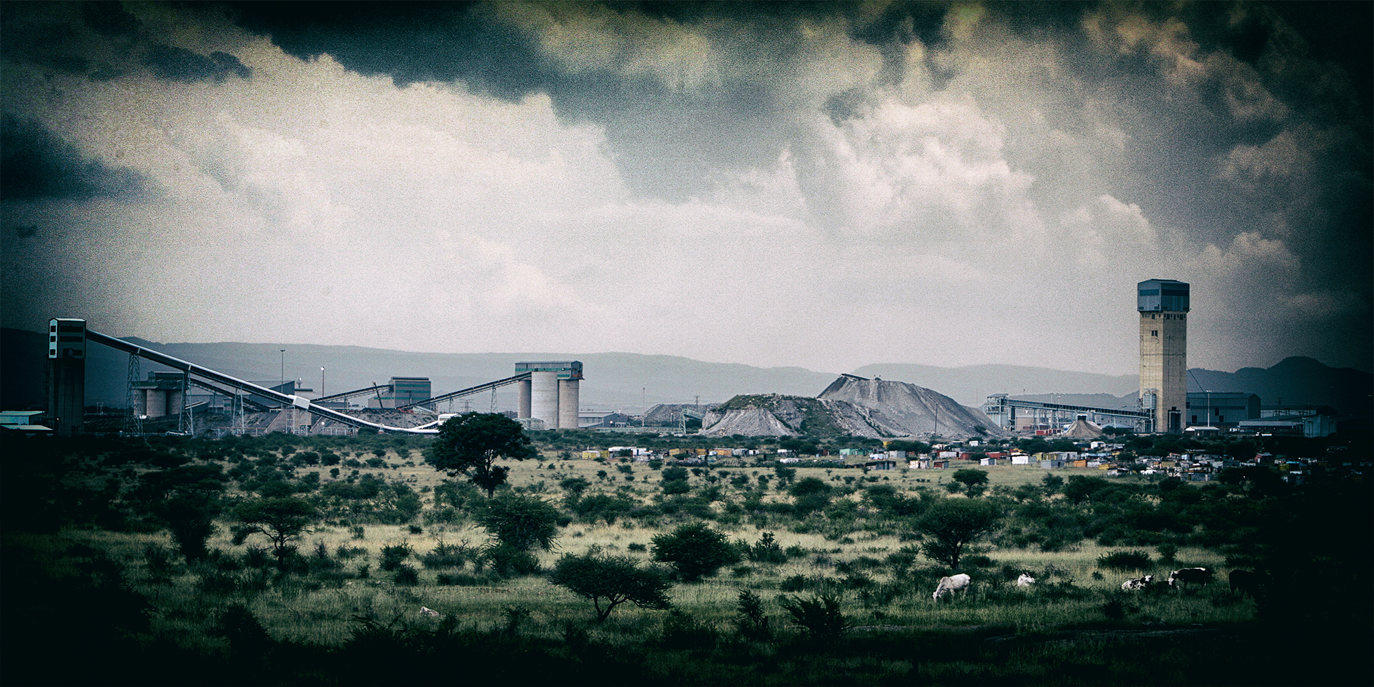 Impala Platinum swings back to profit as platinum group metals producers regain their lustre