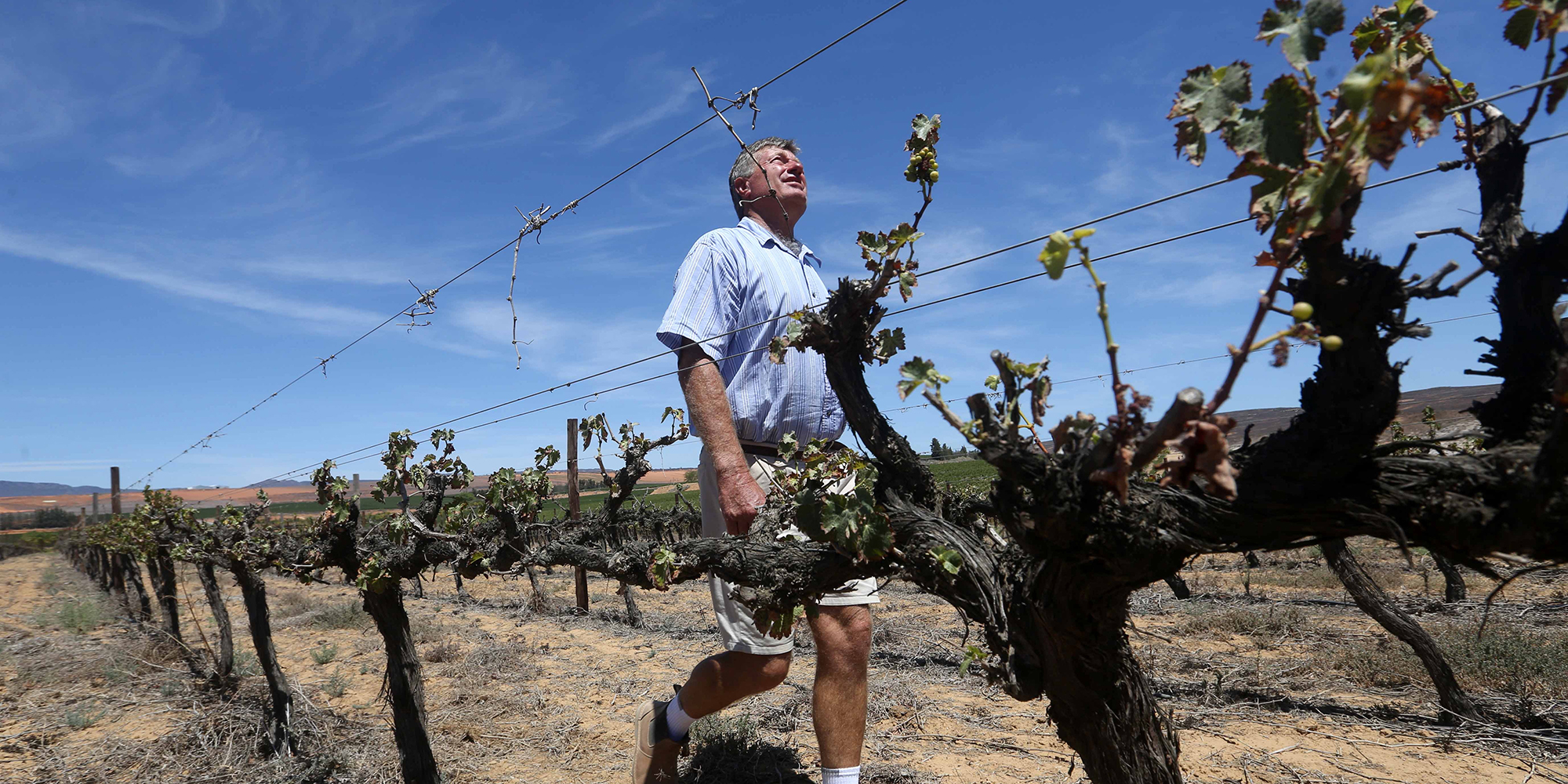 Forget El Nino – drought is already scorching southern Africa’s economies