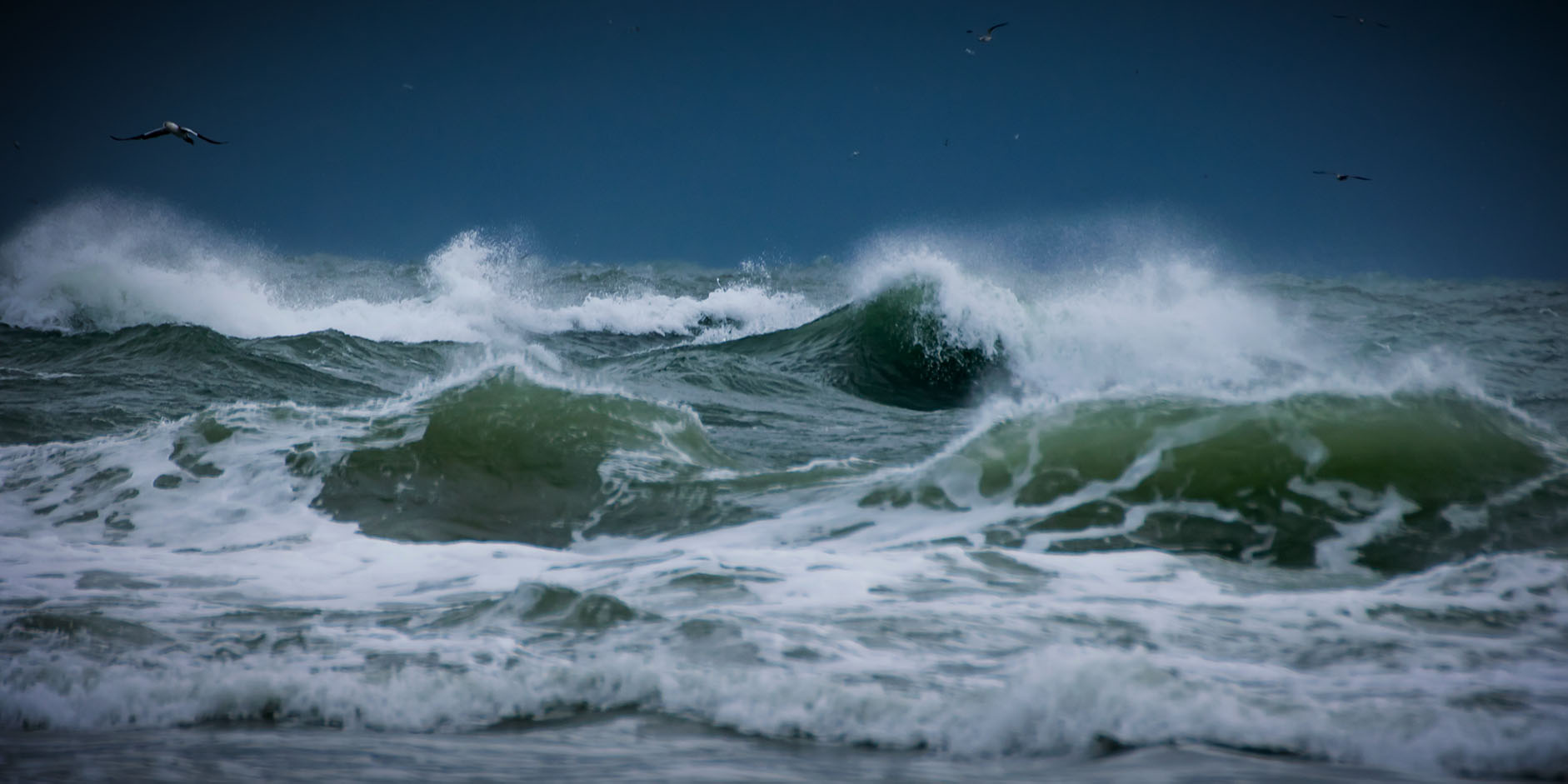 PwC survey shows uncertain growth outlook tops CEO agendas