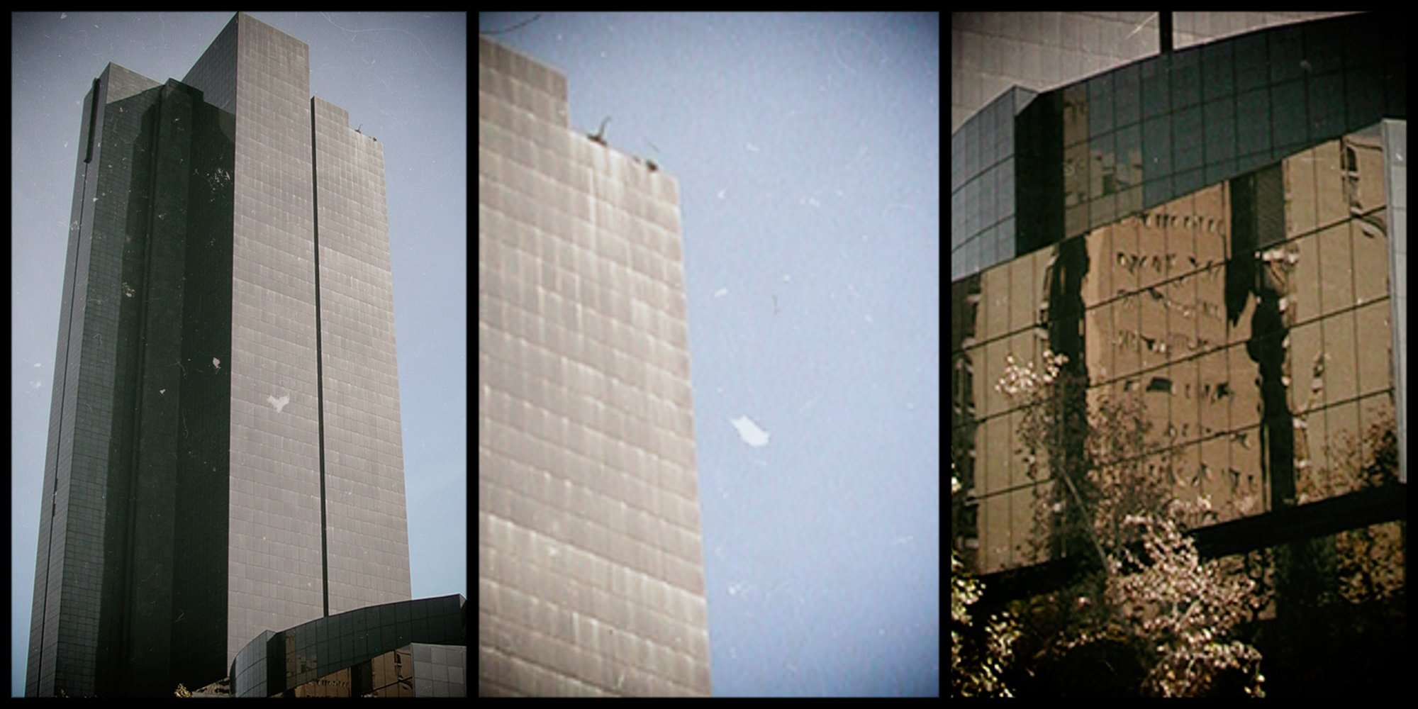 Time for the SARB to throw petrol on the fire