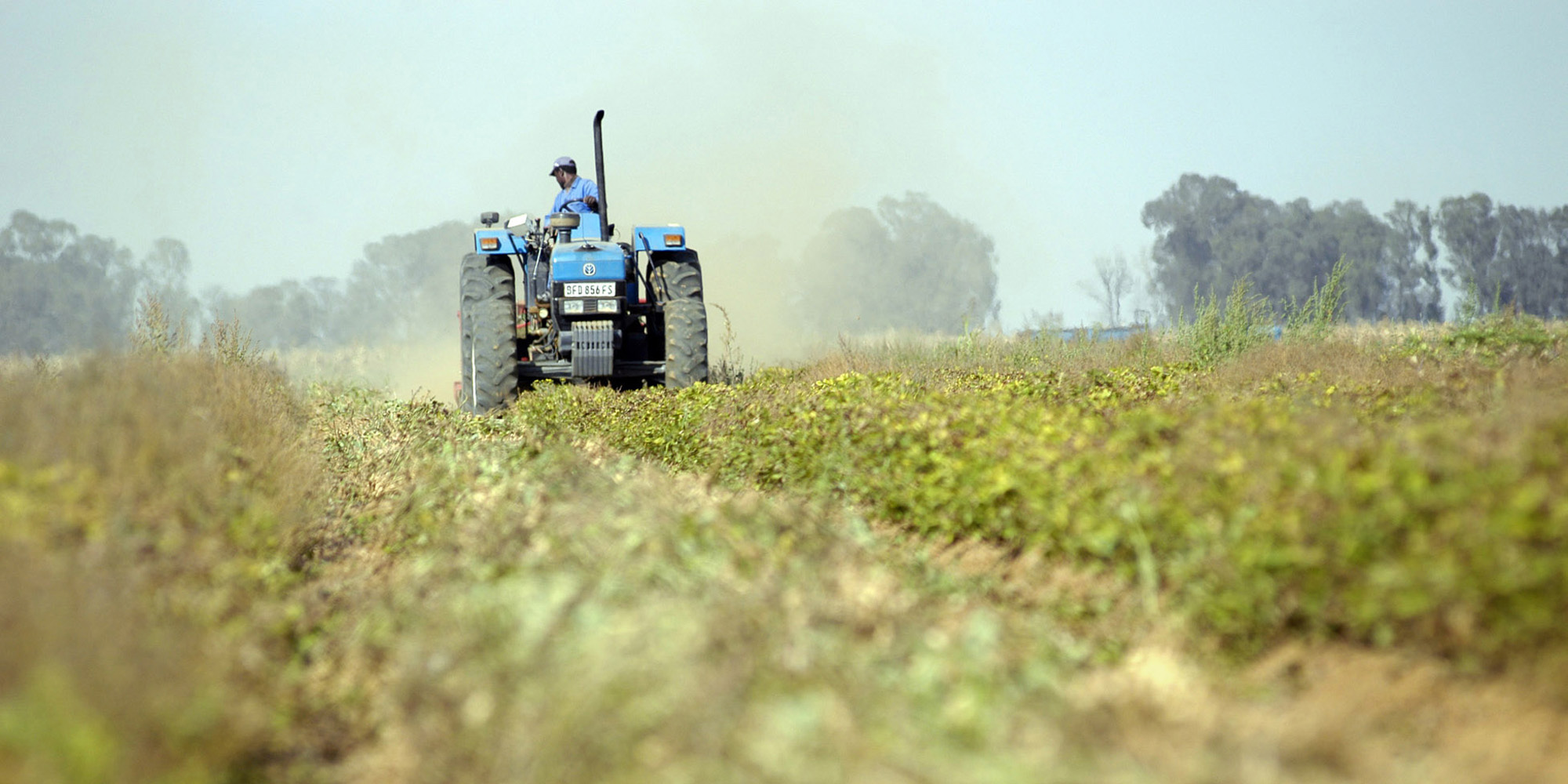 It’s lenders versus Treasury in a race to save the Land Bank from collapse