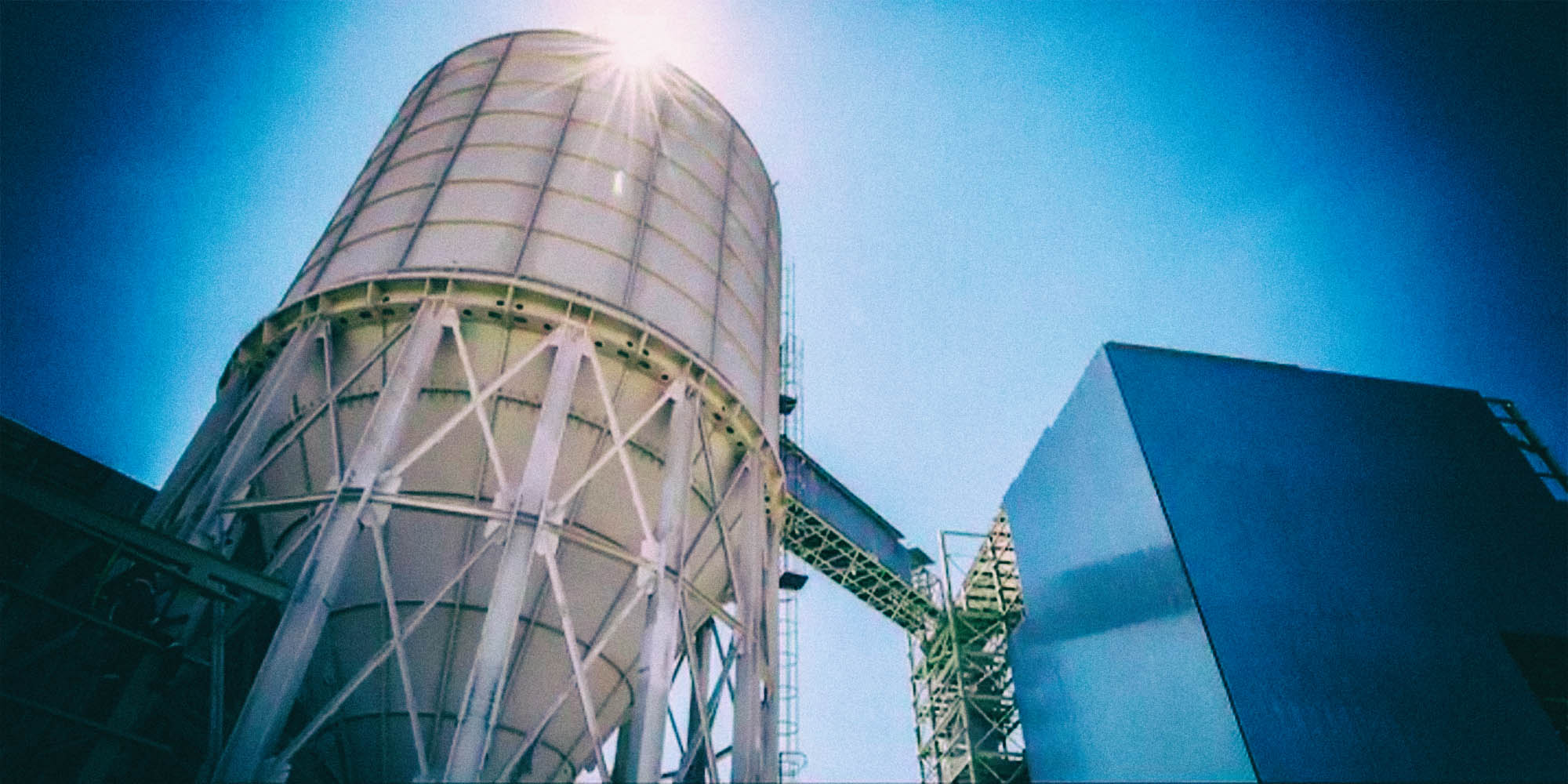 New Omnia CEO will try his ‘damn best to save the company’