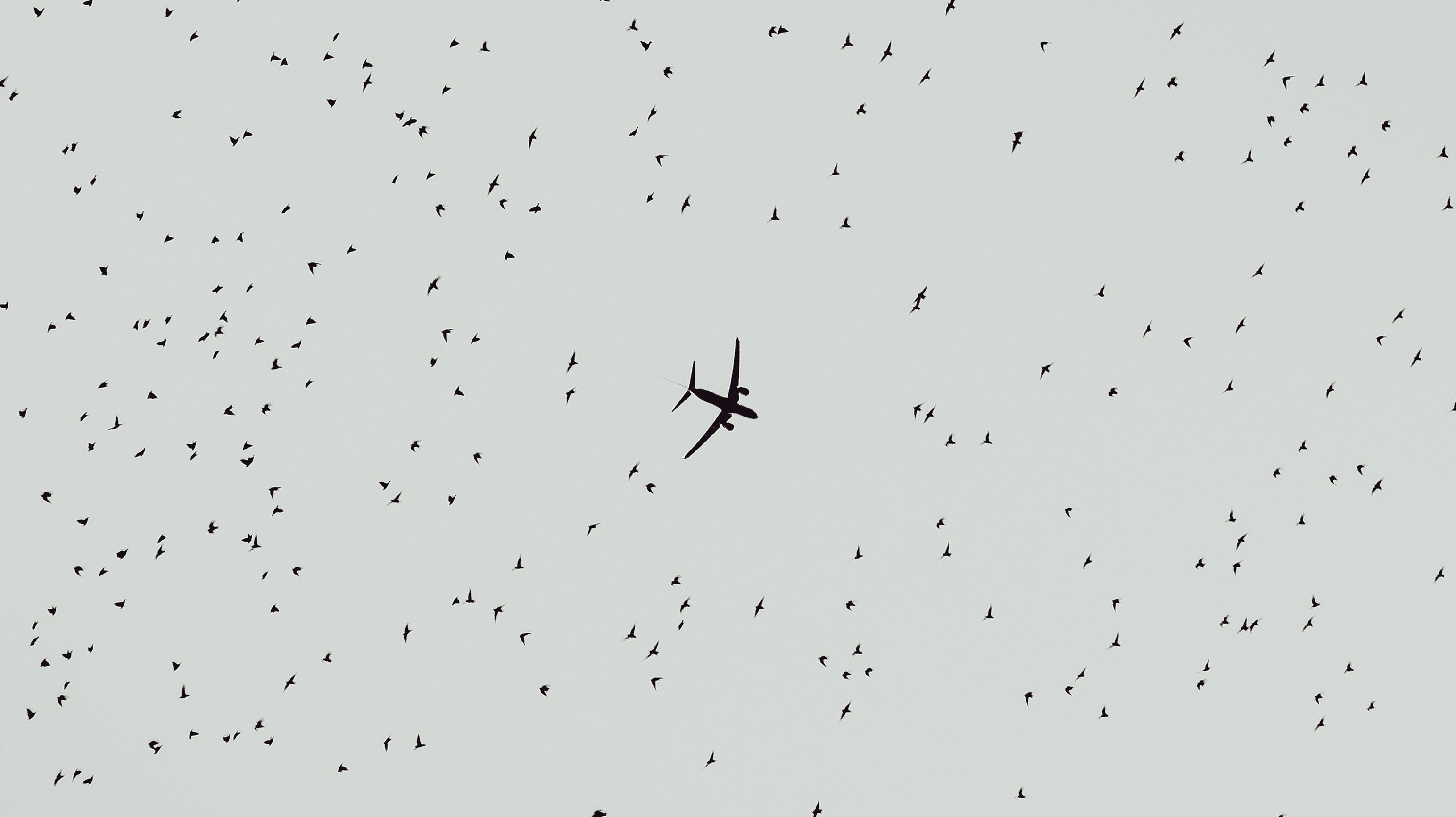 (Photo: Unsplash/John Rodenn)